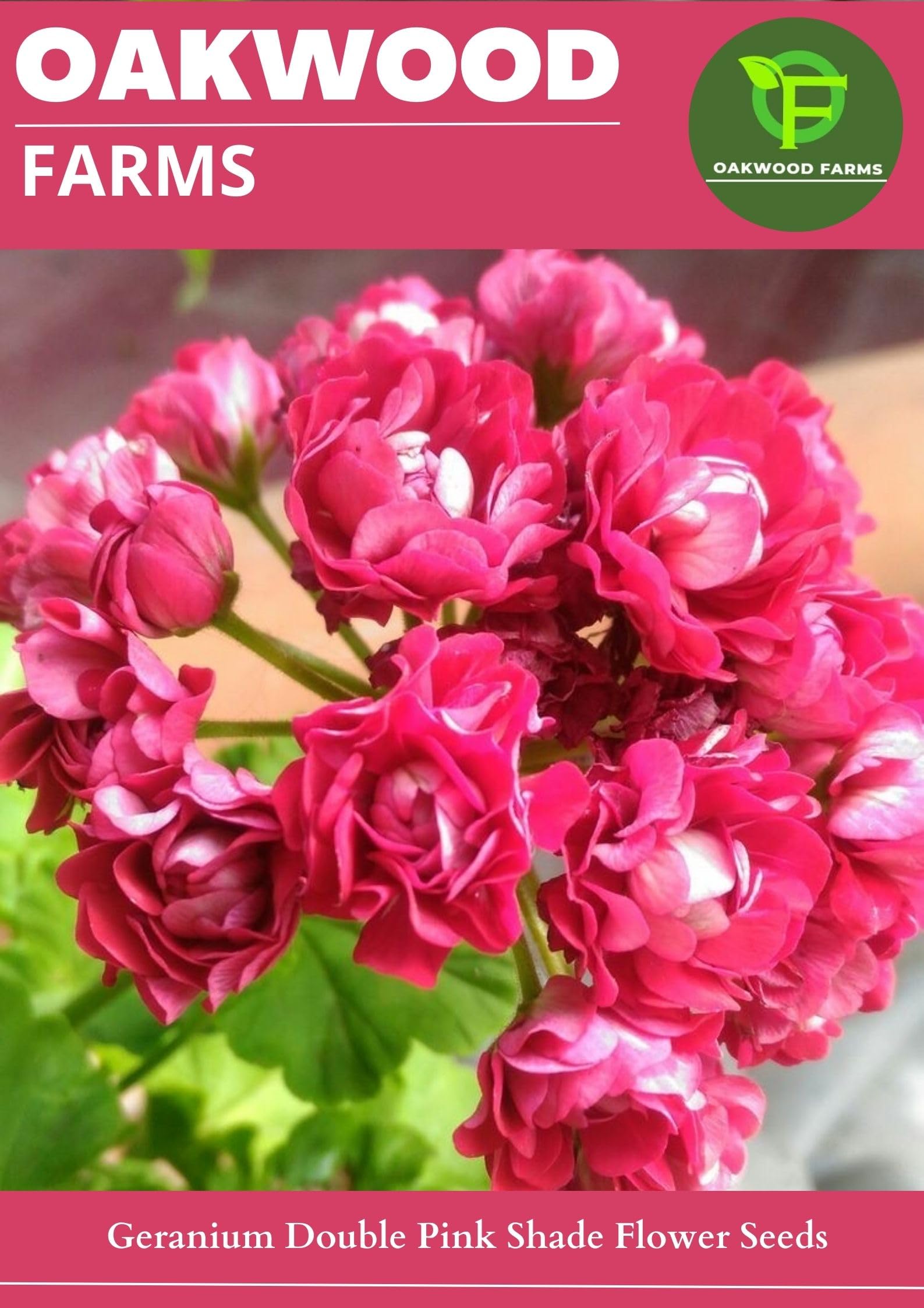 Oakwood Farms® Geranium Pink Shade Aromatic Double Flower Seeds (Pack Of 50-60 Seeds) (B0CCPQDGCX) Amazon Price History, Amazon Price Tracker