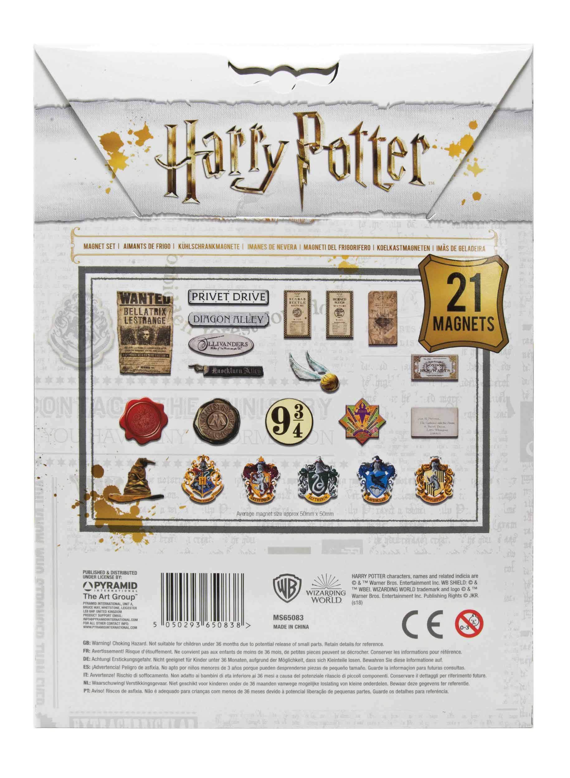 HARRY POTTER (CORE) MAGNET SET