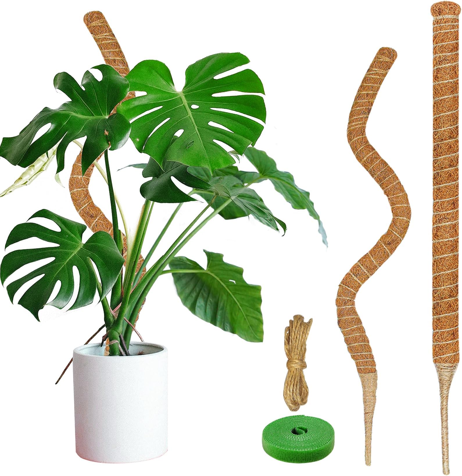 2 Pack Moss Pole, 35.4-Inch Moss Poles for Plants Monstera, Plant Support Stakes for Climbing Plants Indoor,Moss Pole Support, Garden Trellis Plant Stick Stakes for Potted Plants, Pothos