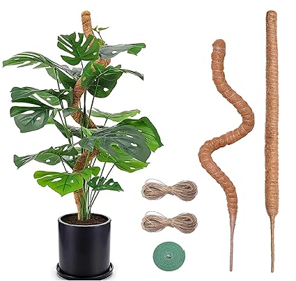 Imezos 2 Pack 30 Inch Moss Pole for Plants Monstera, Tall Moss Poles for Climbing Plants Monstera, Handmade Coco Coir Plant Pole, Monstera Plant Support for Plant Grow