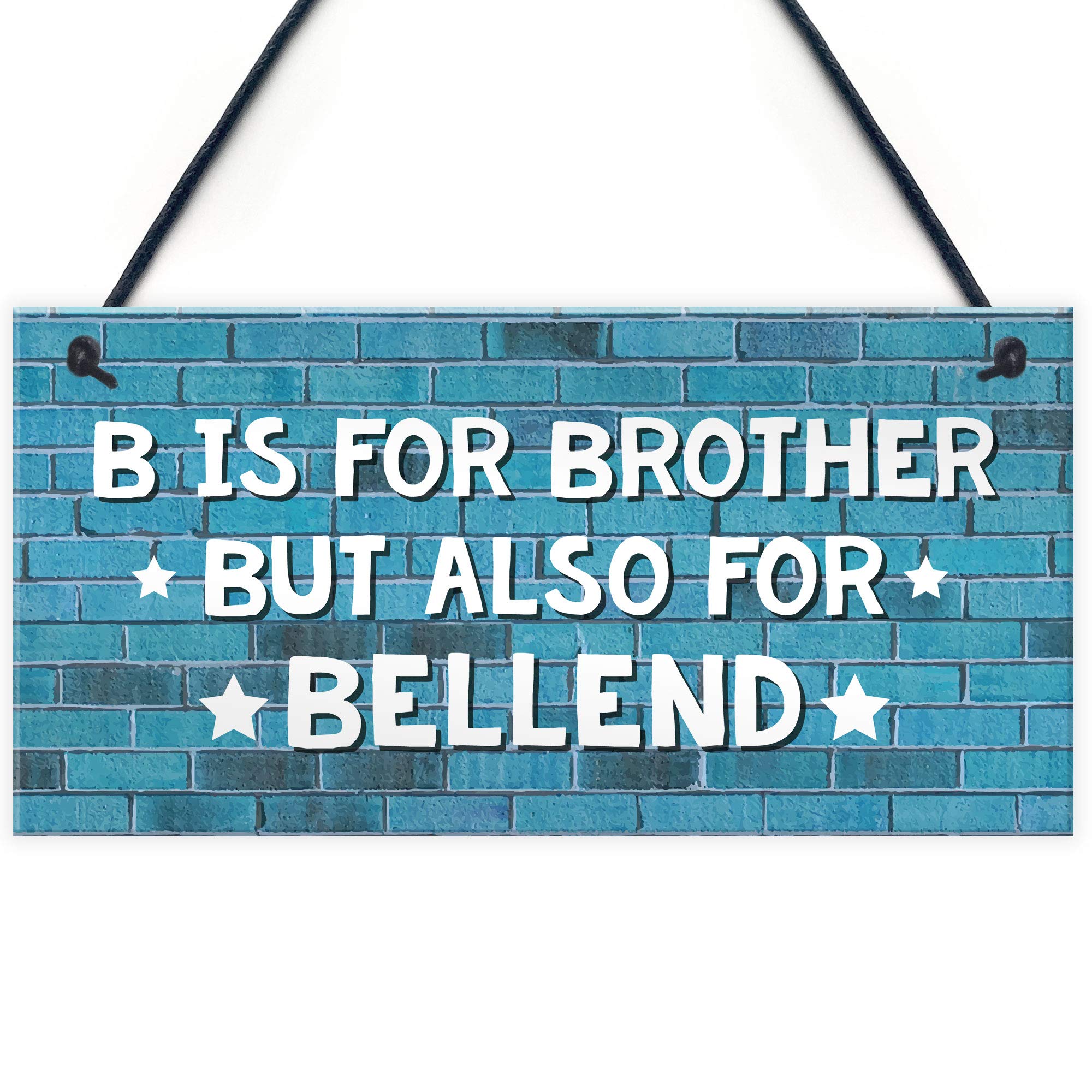 RED OCEAN Funny Gift For Brother Hanging Plaque Rude Birthday For Brother Gift For Him