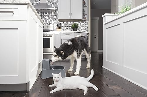 Miniatura 7 de PetSafe Drinkwell - Filtros de repuesto de carbono, mantiene el agua limpia y fresca, compatible con múltiples fuentes PetSafe, paquete de 4, color