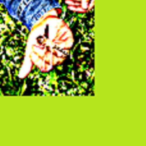 ExstreamlyBugged - //medicalbooks.filipinodoctors.org