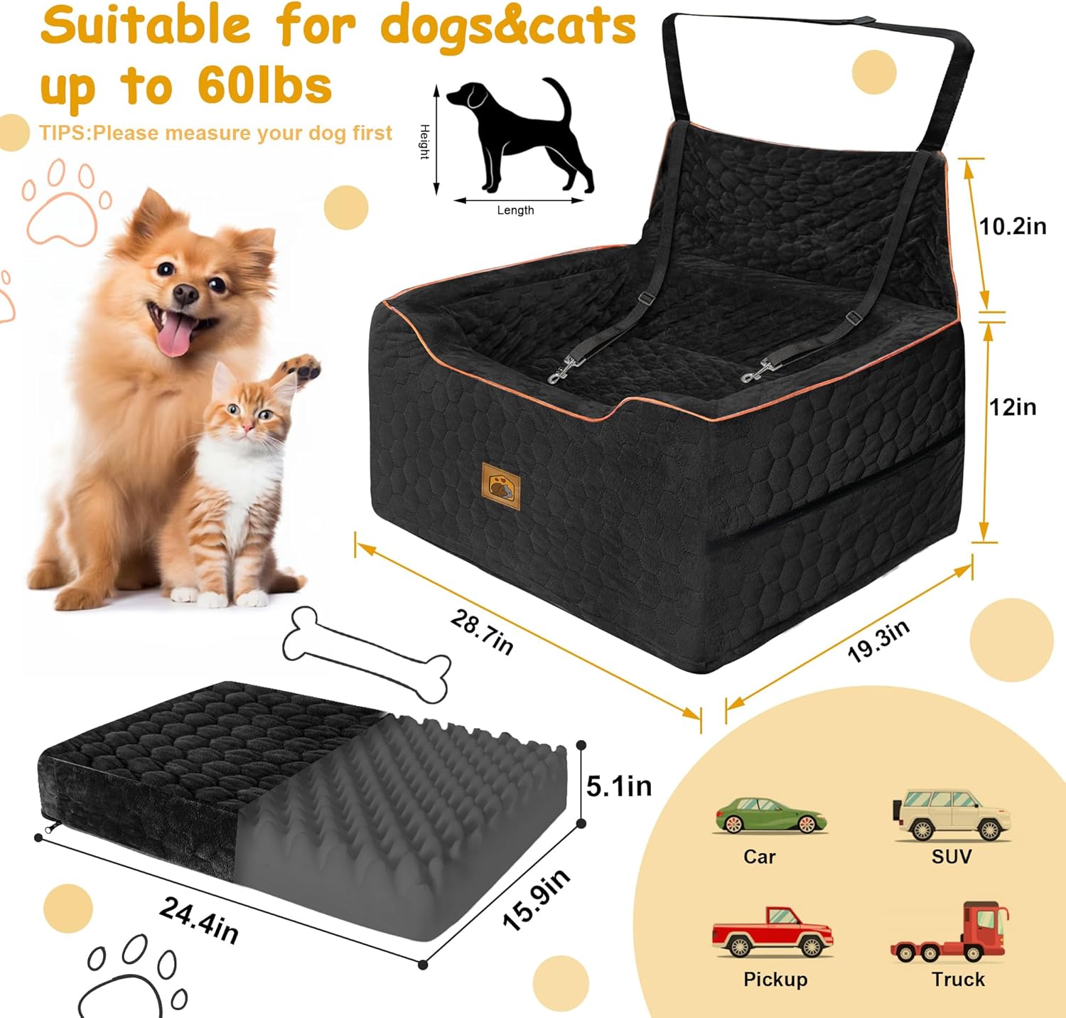 Elevate Your Pup
