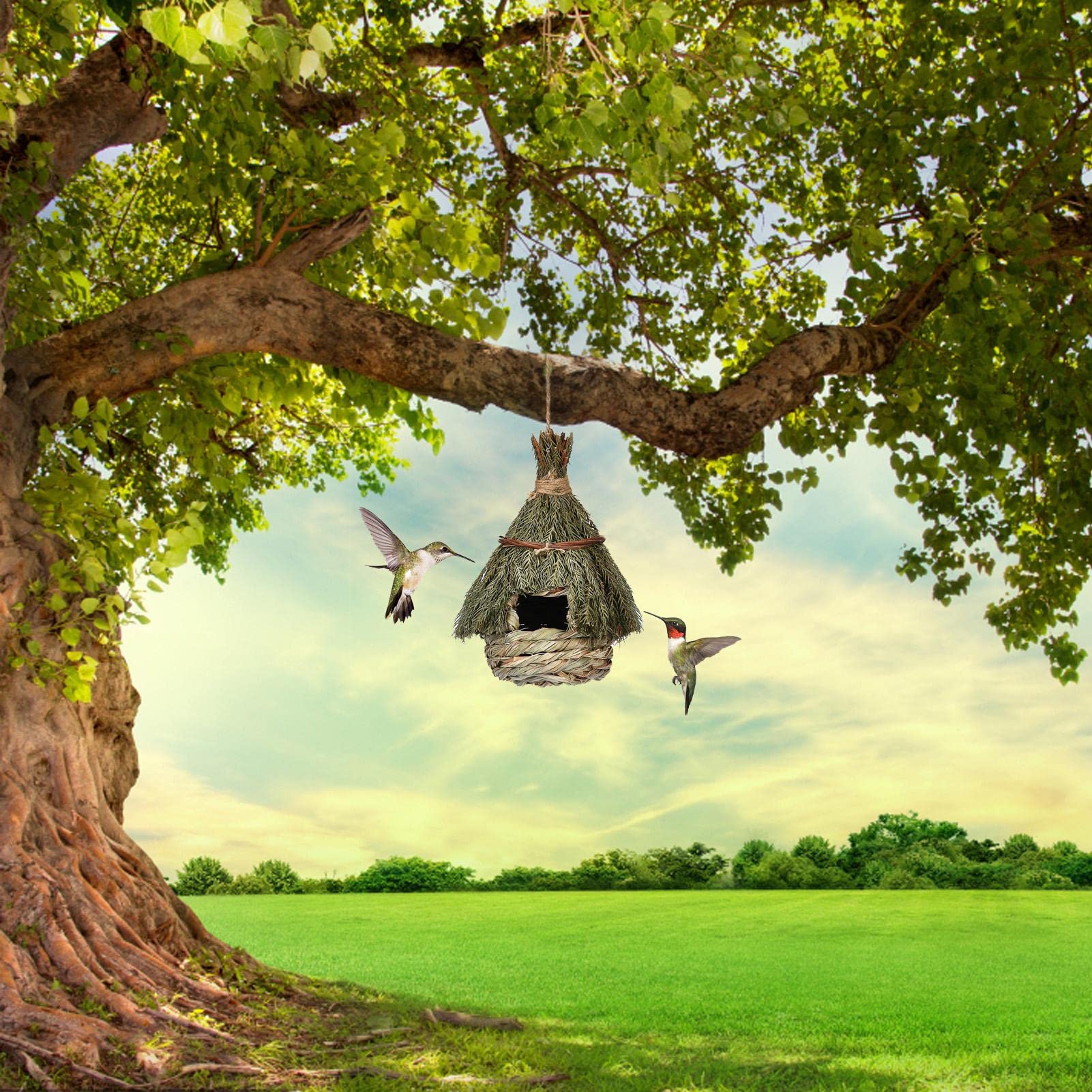POPETPOP Vogelnest Aus Bambus – 6 Stück, Handgewebt Zum Aufhängen, Für Garten & Deko