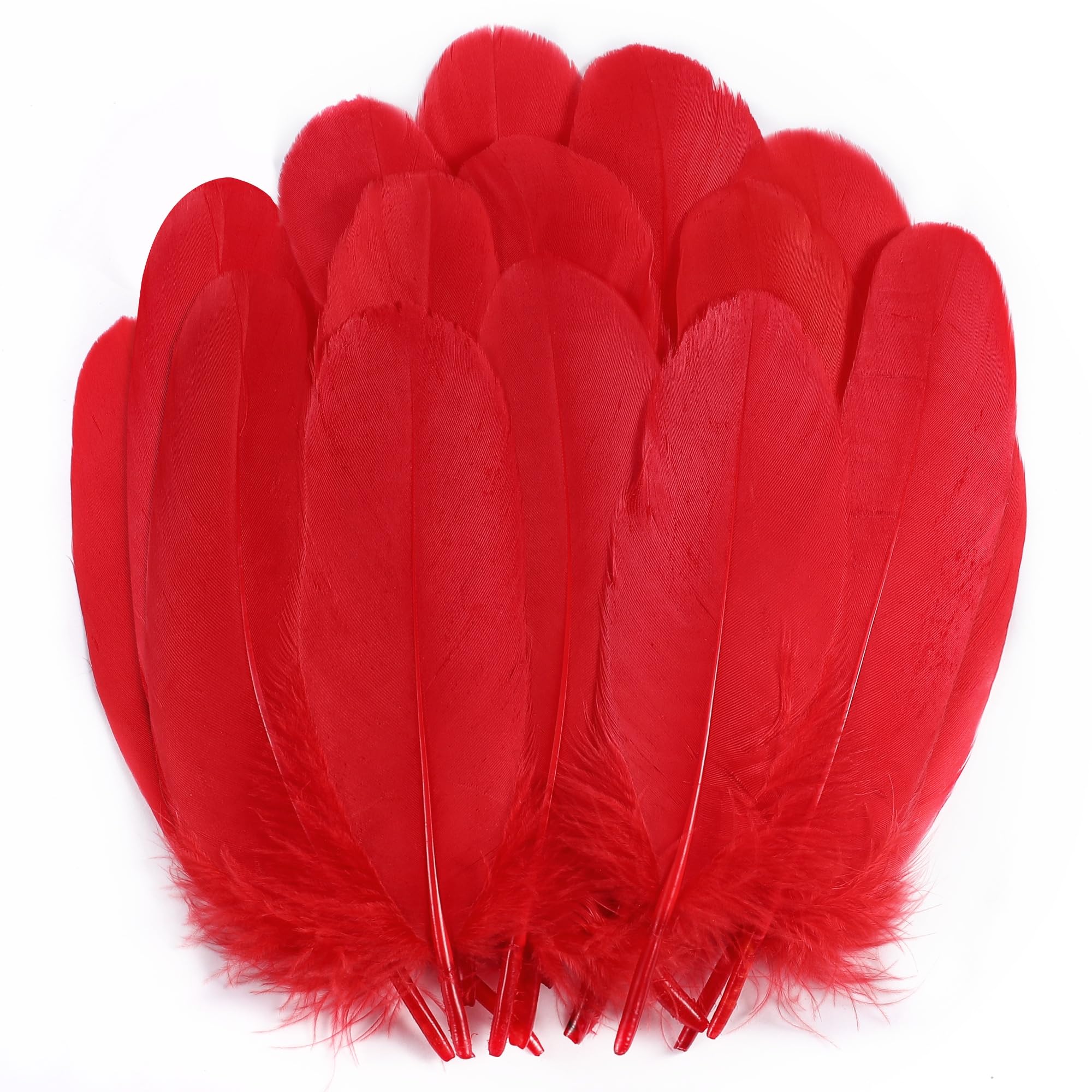 Holmgren Red Craft Goose Feathers- 200pcs 5-7inch Large Craft Feather Bulk for DIY Cosplay Mask Hatband Wing Costume Accessories and Halloween Party Decoration (Red)