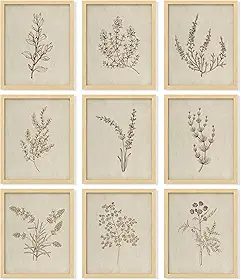 97 DECOR Arte de parede botânica - impressões botânicas vintage, decoração de parede de arte de plantas, imagens de arte de parede floral neutro, pinturas de pôster de flores bege, galeria de desenho de esboço de flores para quarto (20 x 25 cm sem moldura)