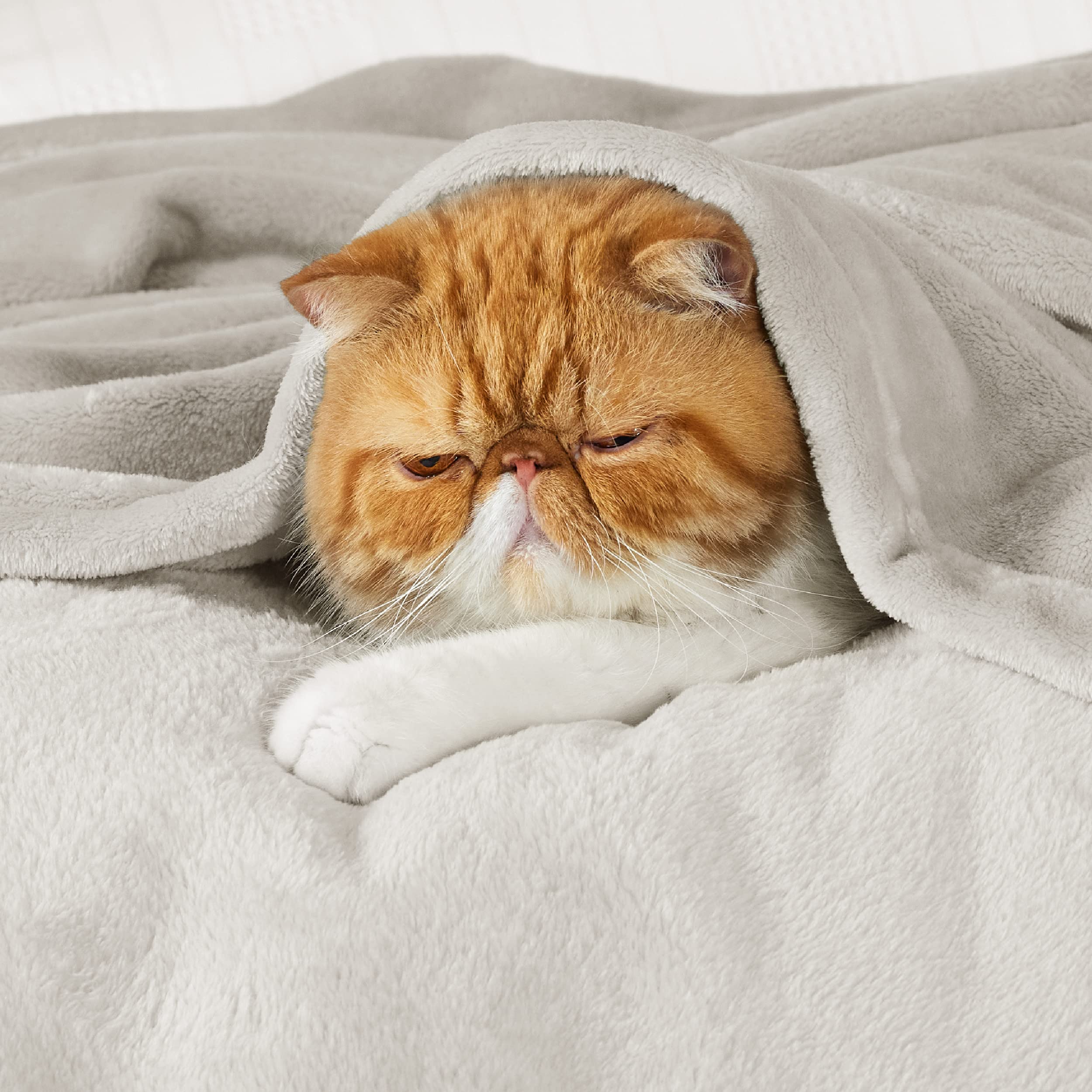 Bedsure Fleece Blanket Throw Blanket Linen - 280GSM Soft Lightweight Plush Cozy Blankets for Bed, Sofa, Couch, Travel, Camping