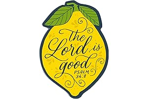 Christian Art Gifts Cute Inspirational Women & Girls Bible Verse Lemon Fridge...