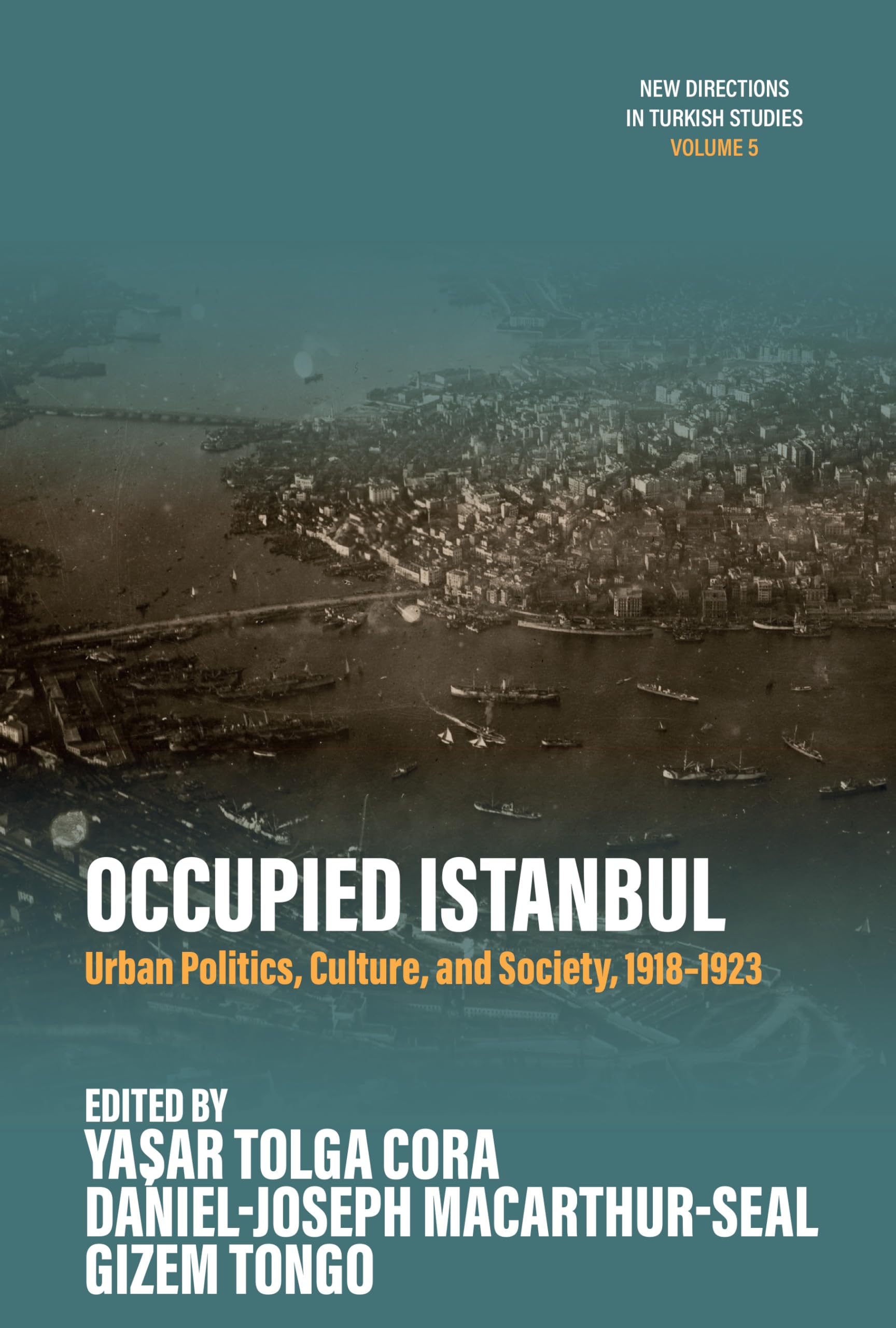 Occupied Istanbul: Urban Politics, Culture and Society, 1918-1923: 5 (New Directions in Turkish Studies, 5)