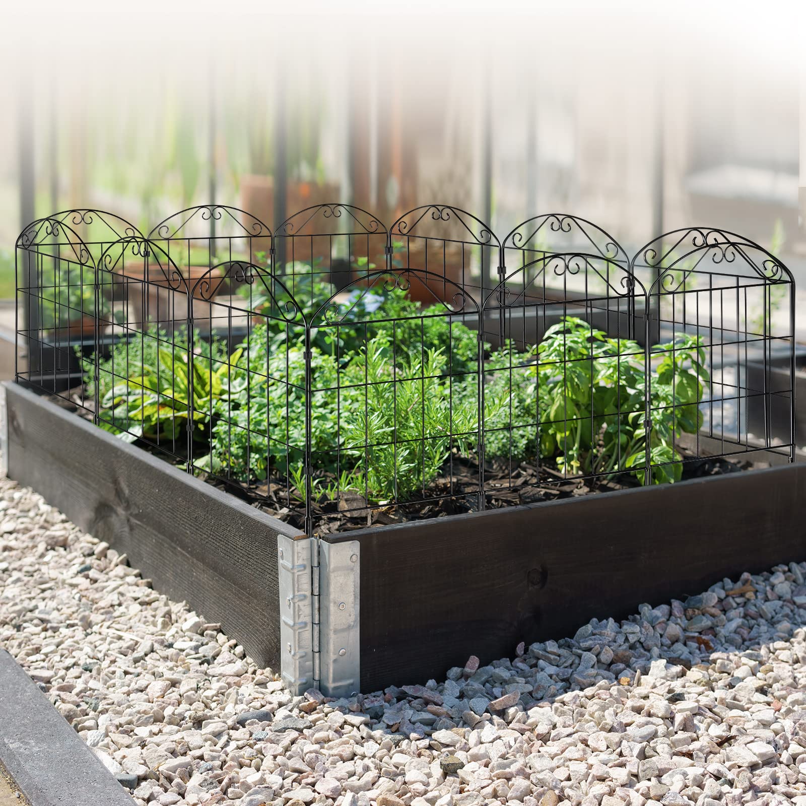 EOOIO Decorative Garden Fence Border 10Pack, 10ft (L) x 24in (H) No Dig Fencing for Yard, Premium Rustproof Metal Animal Barrier Fences for Dog, Outside Flower Edging for Patio Outdoor Decor, Arched