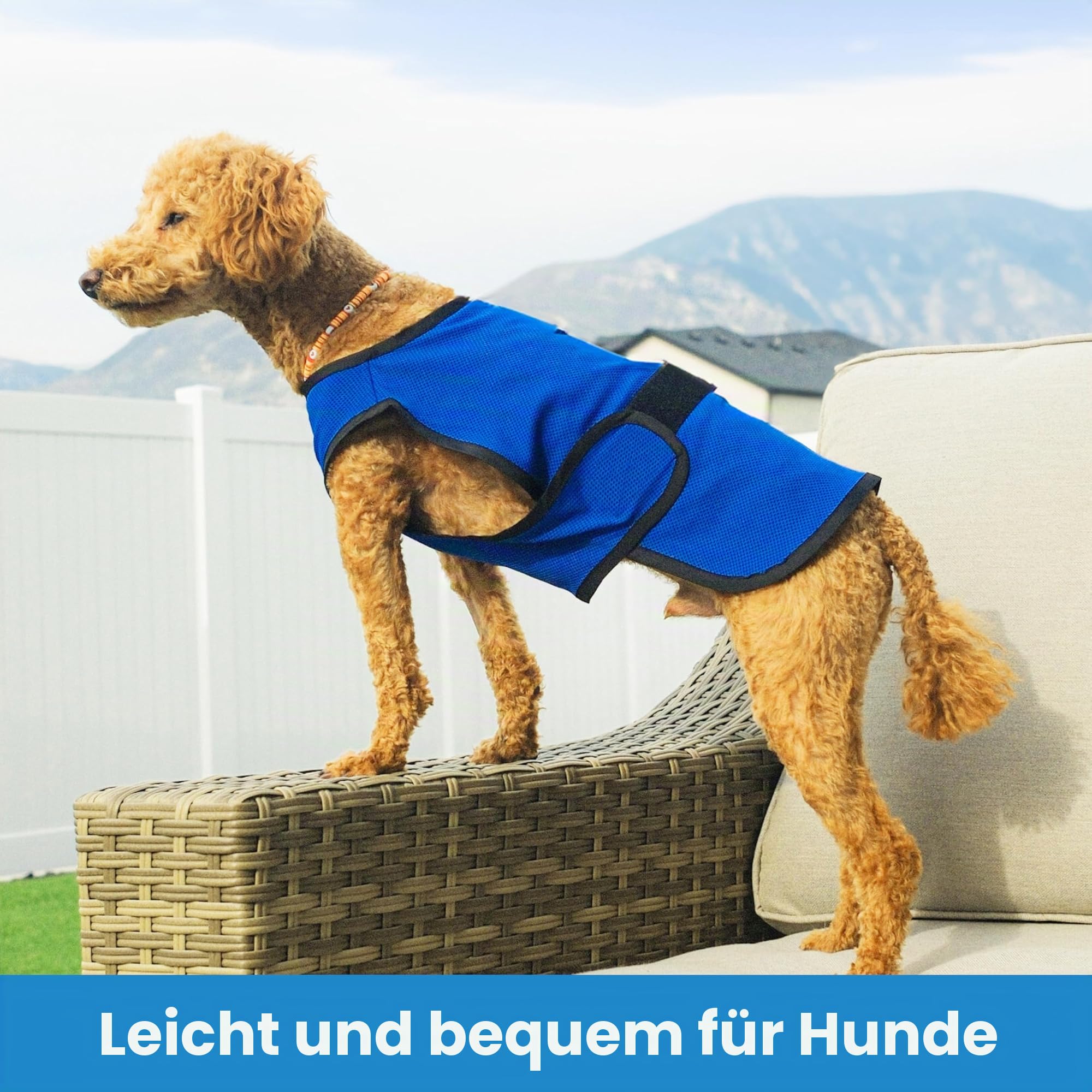 Kühlweste für Hunde, leichte Jacke mit verdunstender Kühl-Mikrofaser-Technologie, UV-Schutz-Shirt für Strand, Größe für kleine, mittelgroße und große Hunde (L, Dunkelblau)