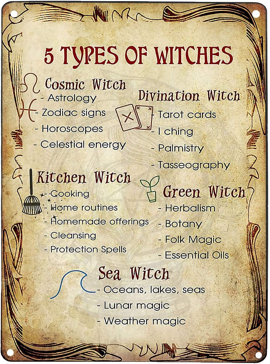 rayprint Metal Signs 5 Types of Witches Retro Nostalgic Tin Signs Metal Posters Plaques Infographics for Bars Cafes Wall Hanging Plaque 8x12inch