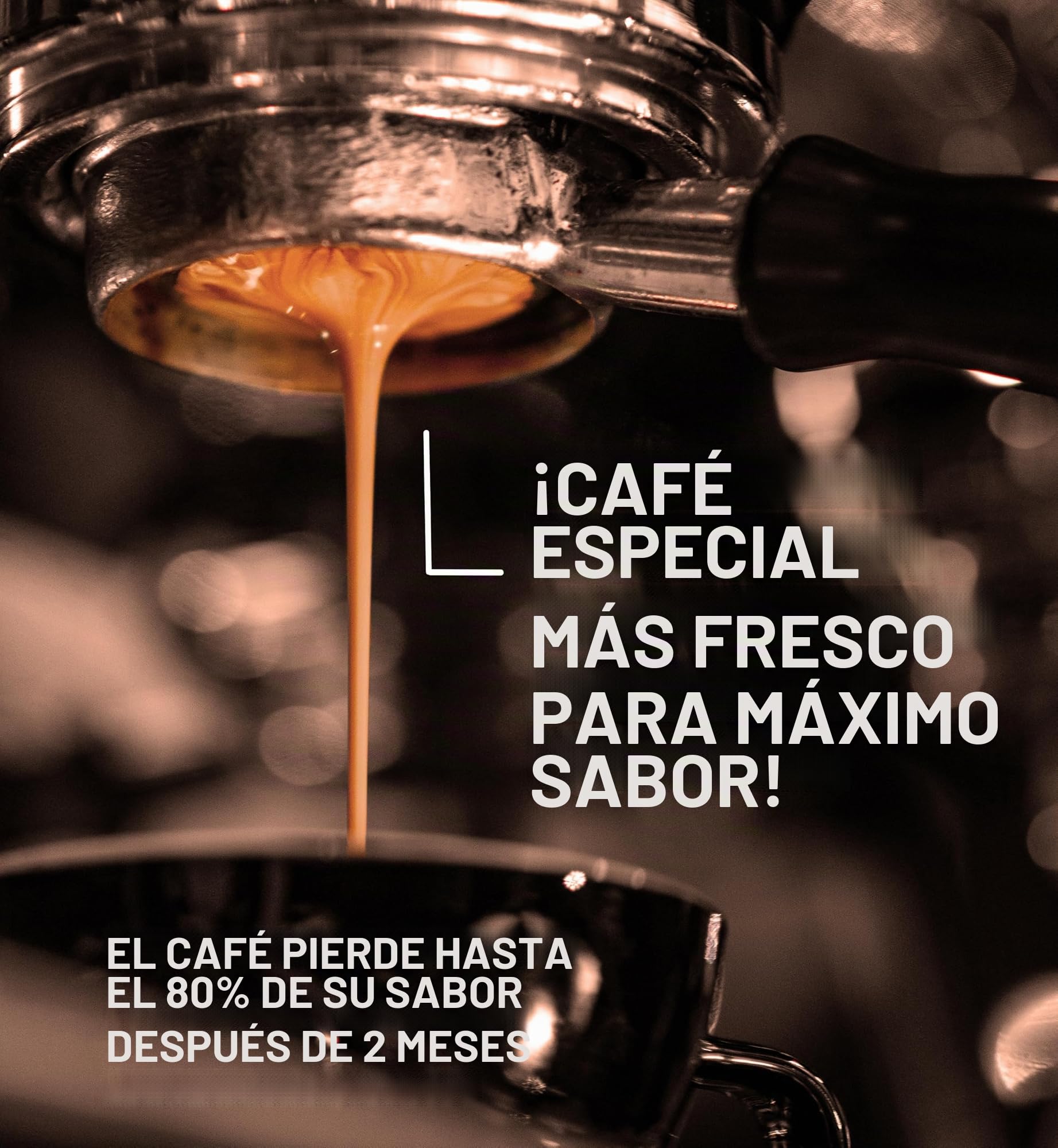 Freshest Specialty Coffee Beans | 80 CUP Roastery | Single Origin ~ Roasted After Order (1000g, Ethiopia Yirgacheffe)