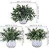Product Photo 3