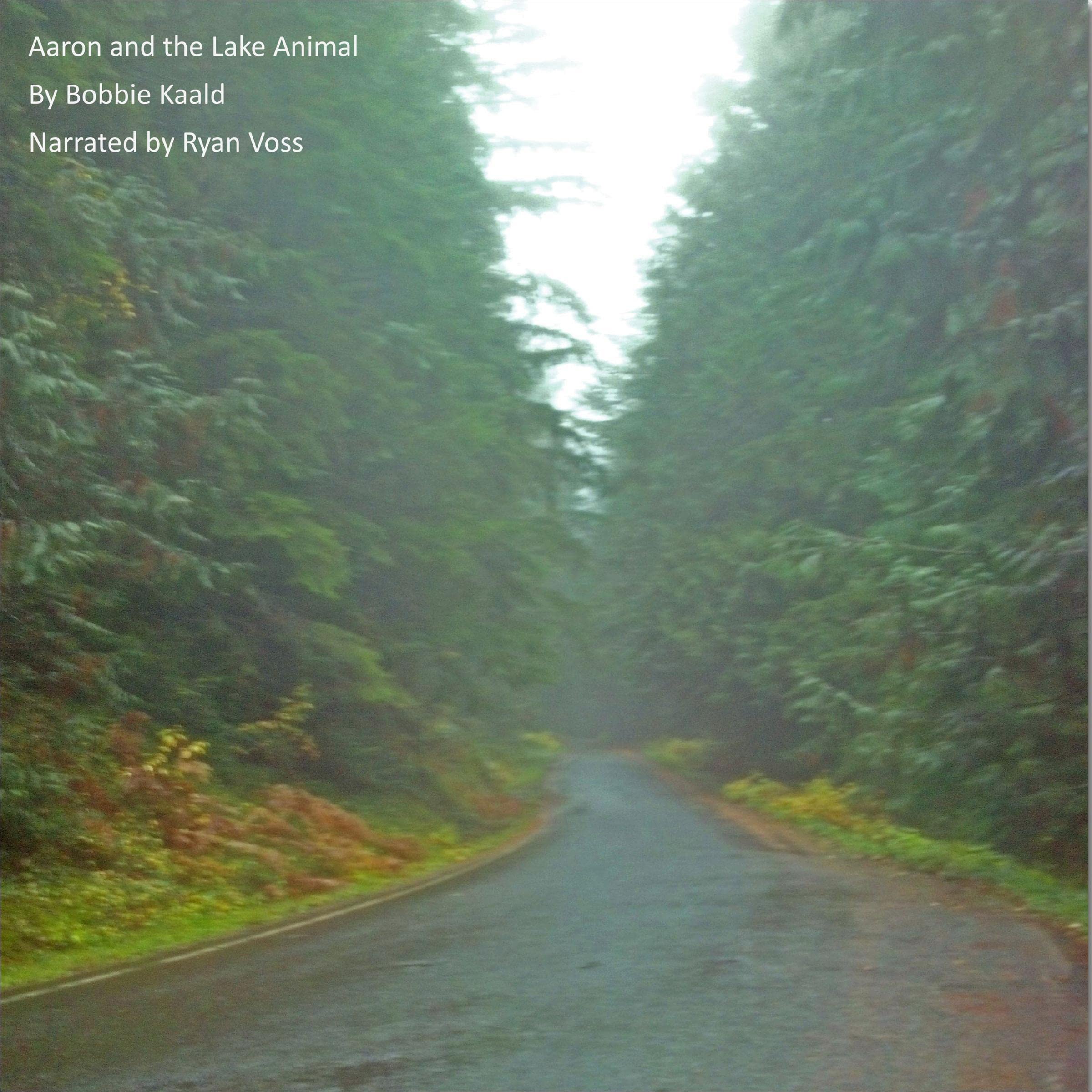 Aaron and the Lake Animal