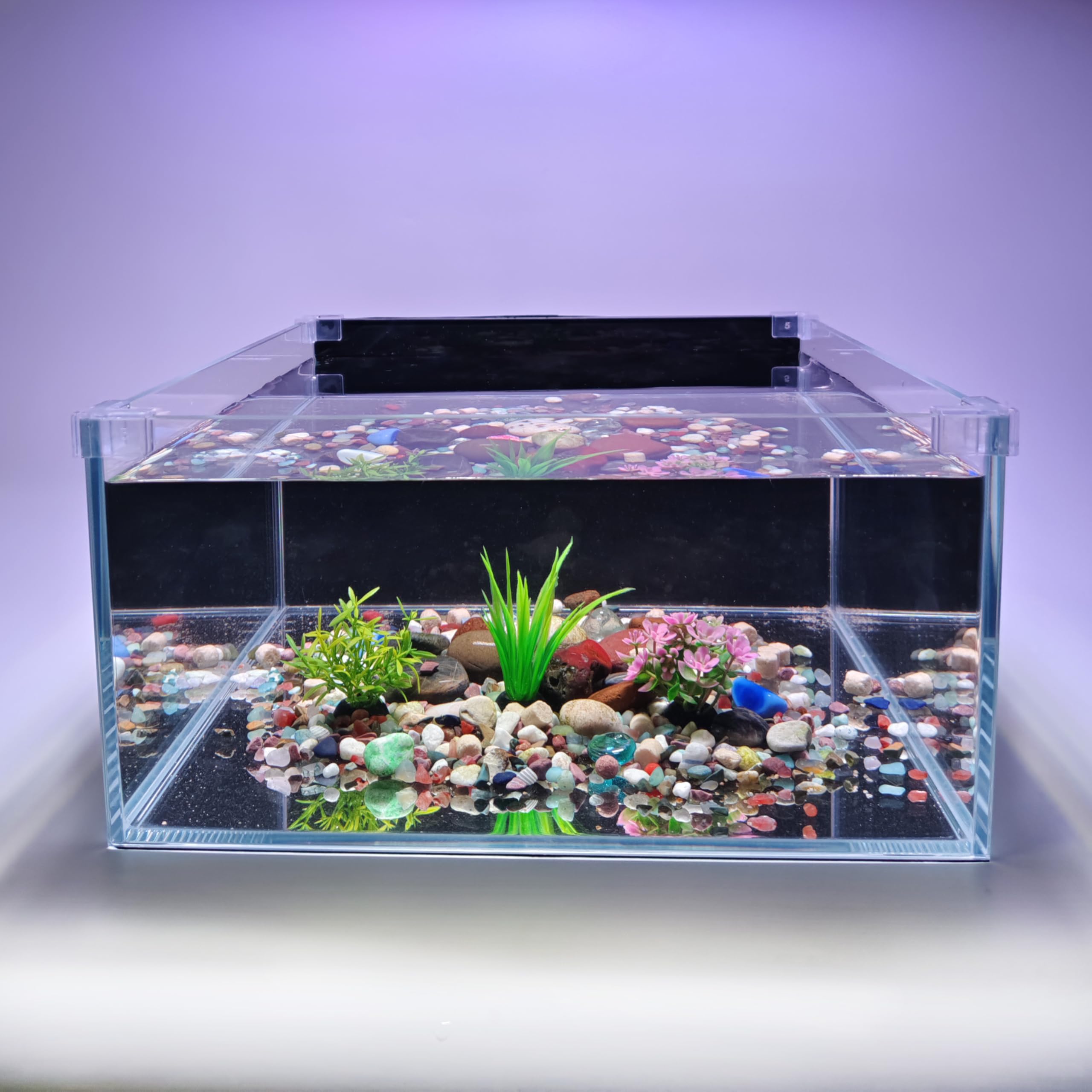 Acquario per pesci da 3,5 galloni, 30 x 30 x 15 cm, acquario in vetro a basso contenuto di ferro con tappetino antiscivolo, carta di sfondo e protezioni per gli angoli | Kit habitat Betta, tartaruga