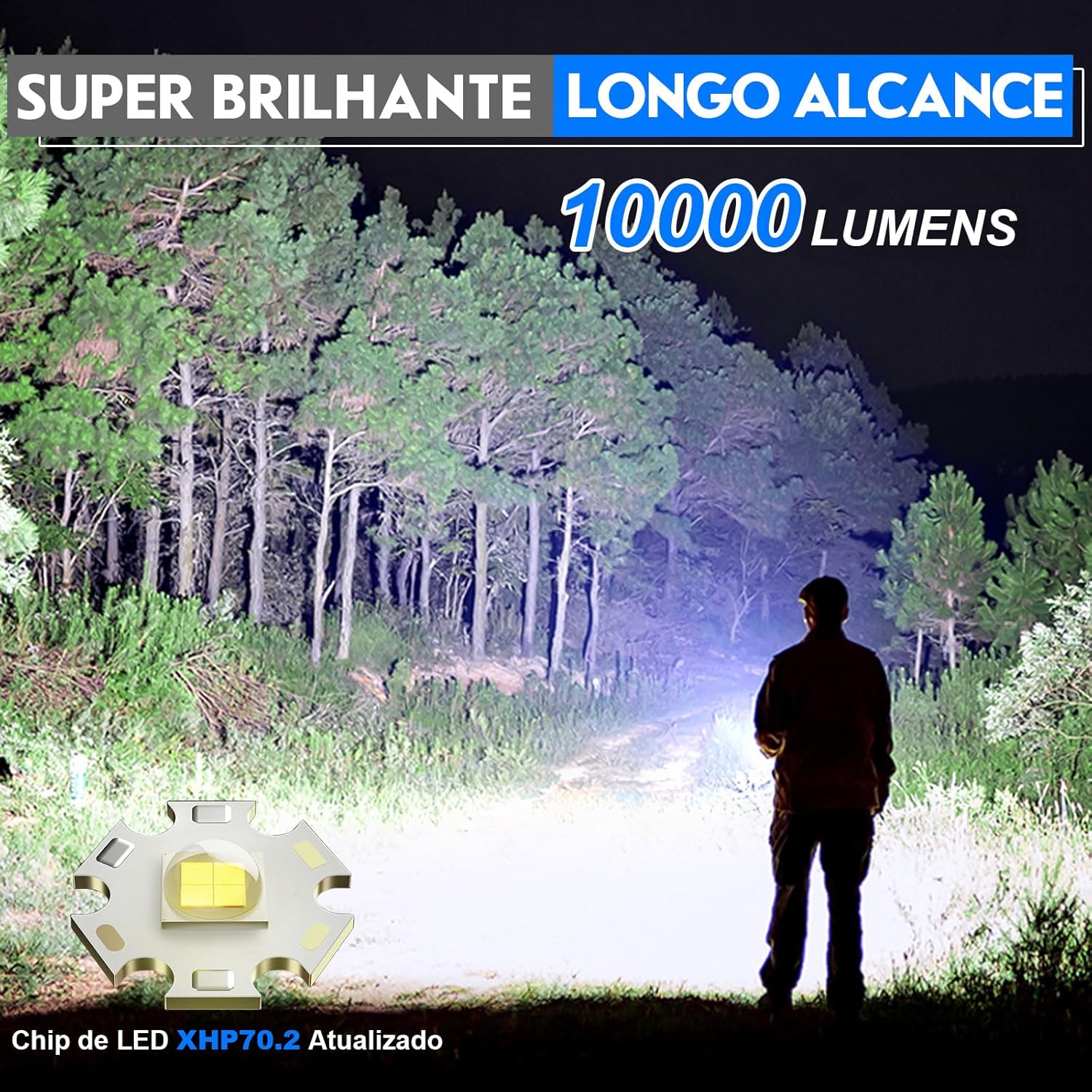Imagem da lanterna em uma floresta densa com árvores.