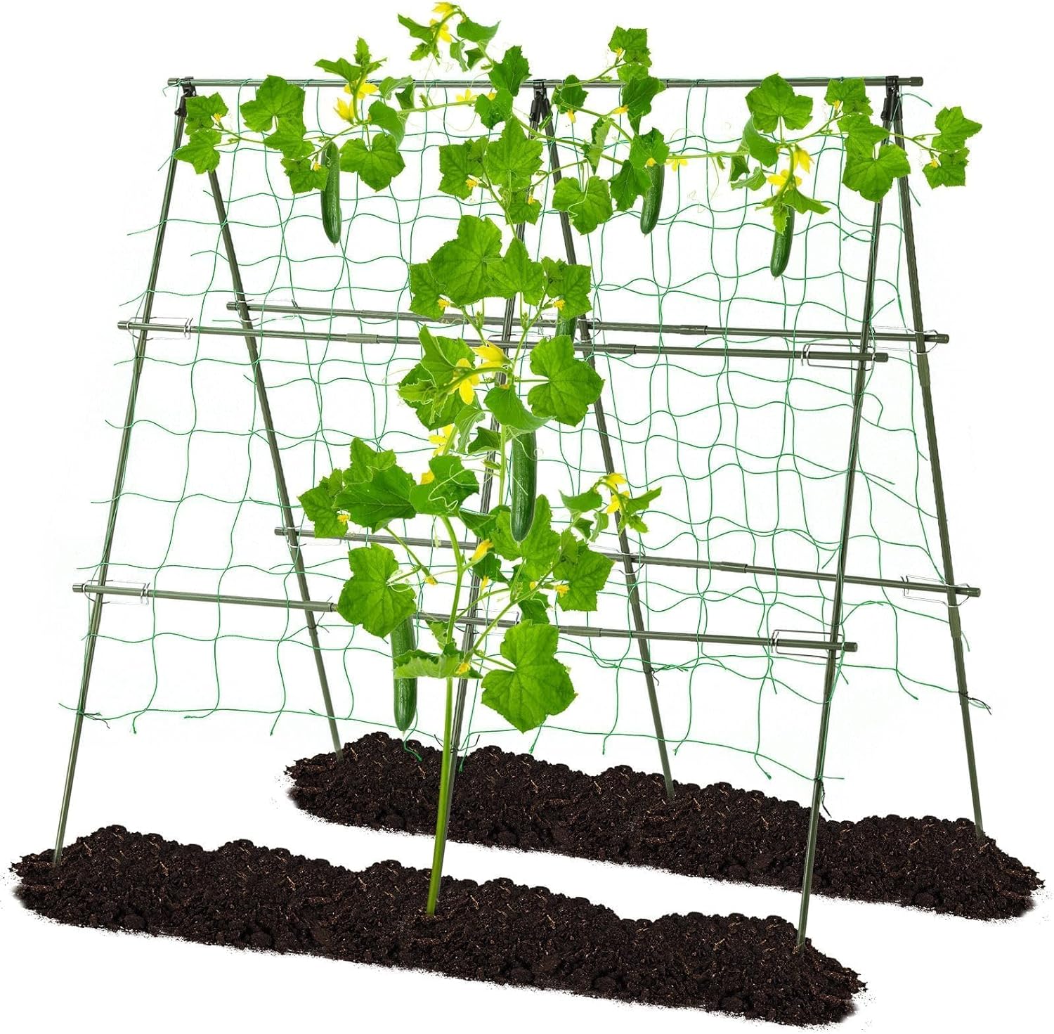 Lalahoni Garden Trellis for Climbing Plants Outdoor, 4ft x 4ft Metal Cucumber Trellis for Raised Bed, Metal A-Frame Pea BeanTrellis Support for Climbing Vine Vegetable Plants, with Netting, Green