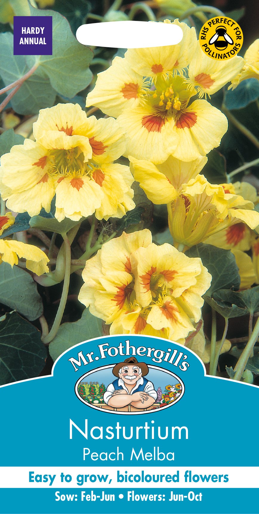 Mr Fothergill's NASTURTIUM Peach Melba Flower Seeds
