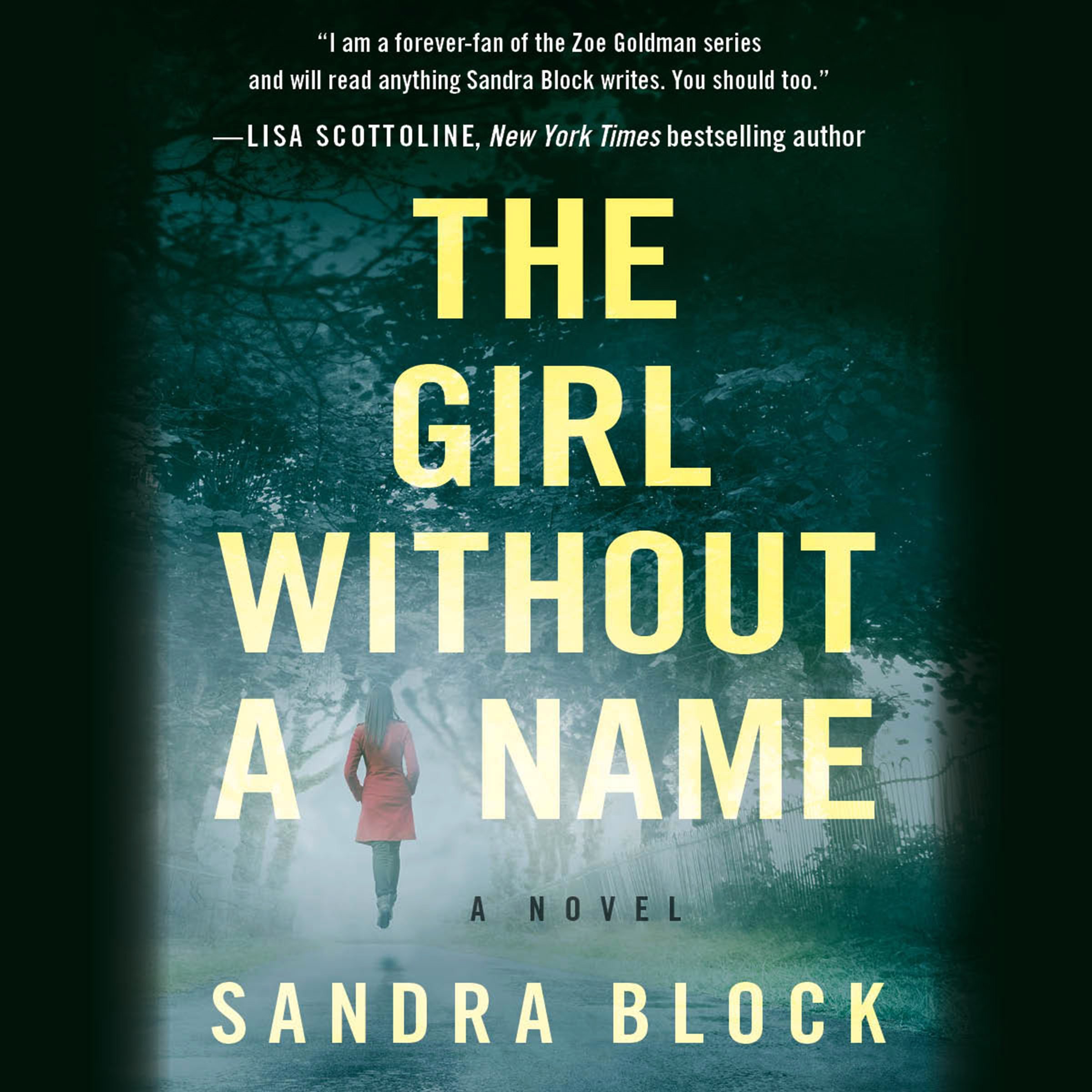Cover art for The Girl Without a Name