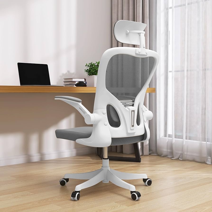 定侕以下❗️PROFESSIONAL PADDED SETUP GRAY Amazon.com: ZZH Mesh Office Chair with Adjustable Lumbar