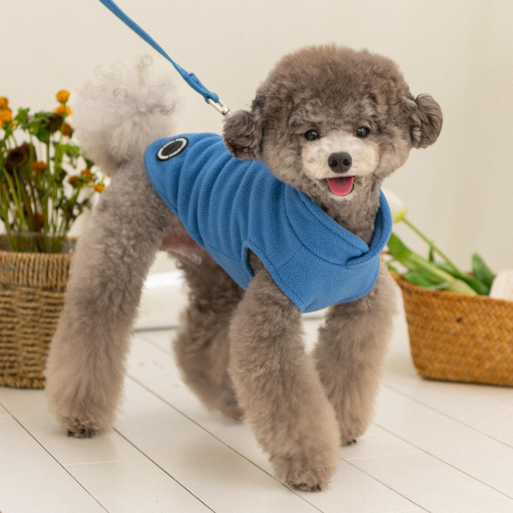 Puppia Lucius Warm Winter Mock Neck Polar Fleece Shirts with Integrated Harness for Small and Medium Dogs Royal Blue, Medium - Image 4