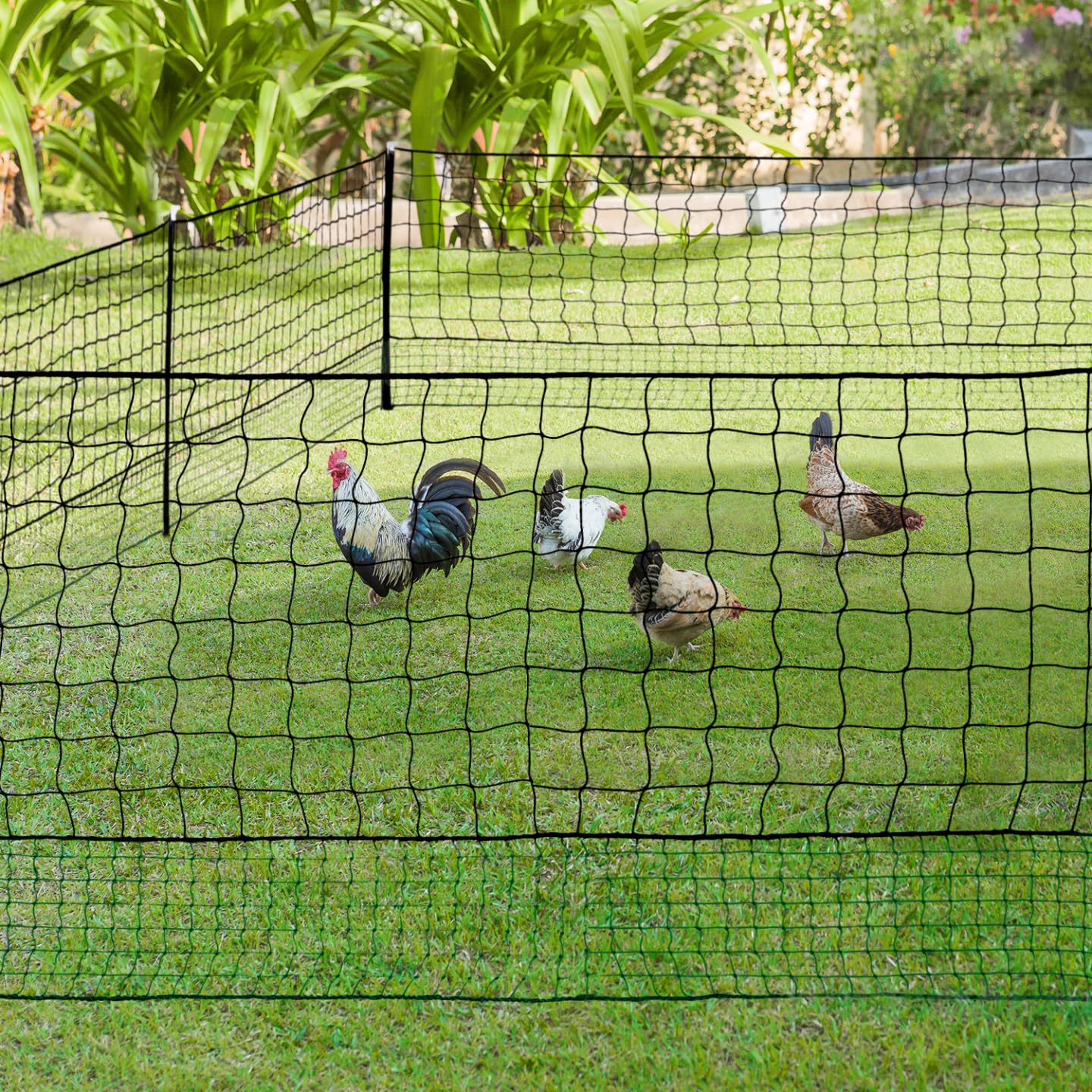 IDMarket – Kit de valla de red de gallinas 50 m con puerta 15 estacas doble punta