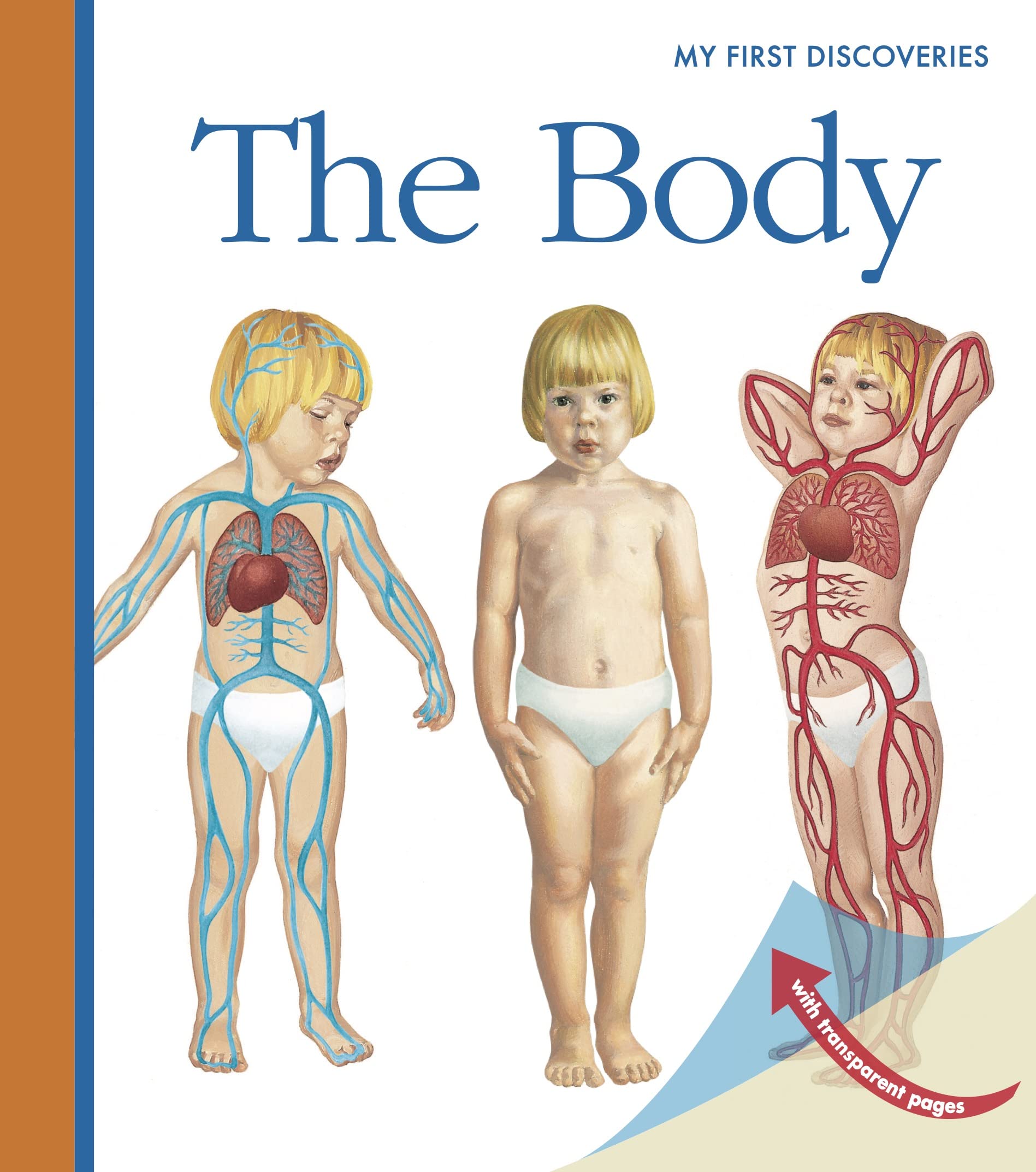 The Body (Volume 16) (My First Discoveries) Spiral-bound – May 1, 2012