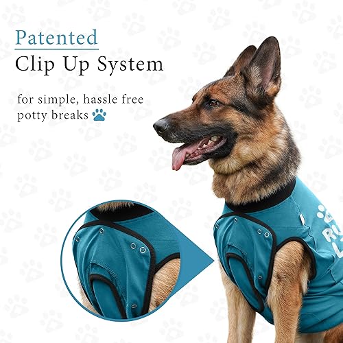 Miniatura 5 de BellyGuard - Traje de recuperación quirúrgica para después de una cirugía, esterilización, para perros hembras y machos, de algodón suave