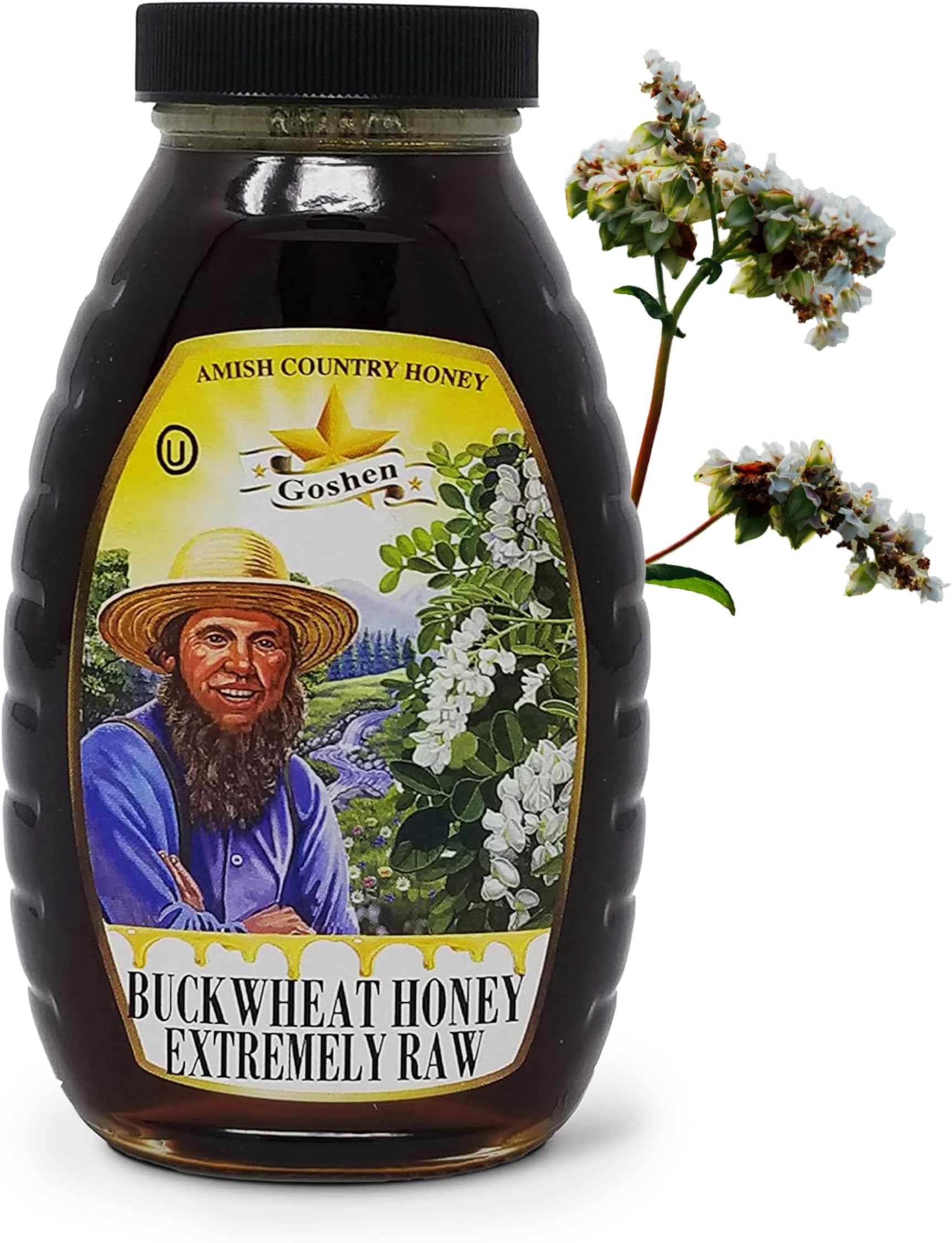 Goshen Amish Country Extremely Raw Buckwheat Honey - Unfiltered, Unprocessed, Pure & Natural - Harvested in the USA - Rich Flavor for Tea, Cooking, Wellbeing - Kosher Certified - 16oz Glass Jar
