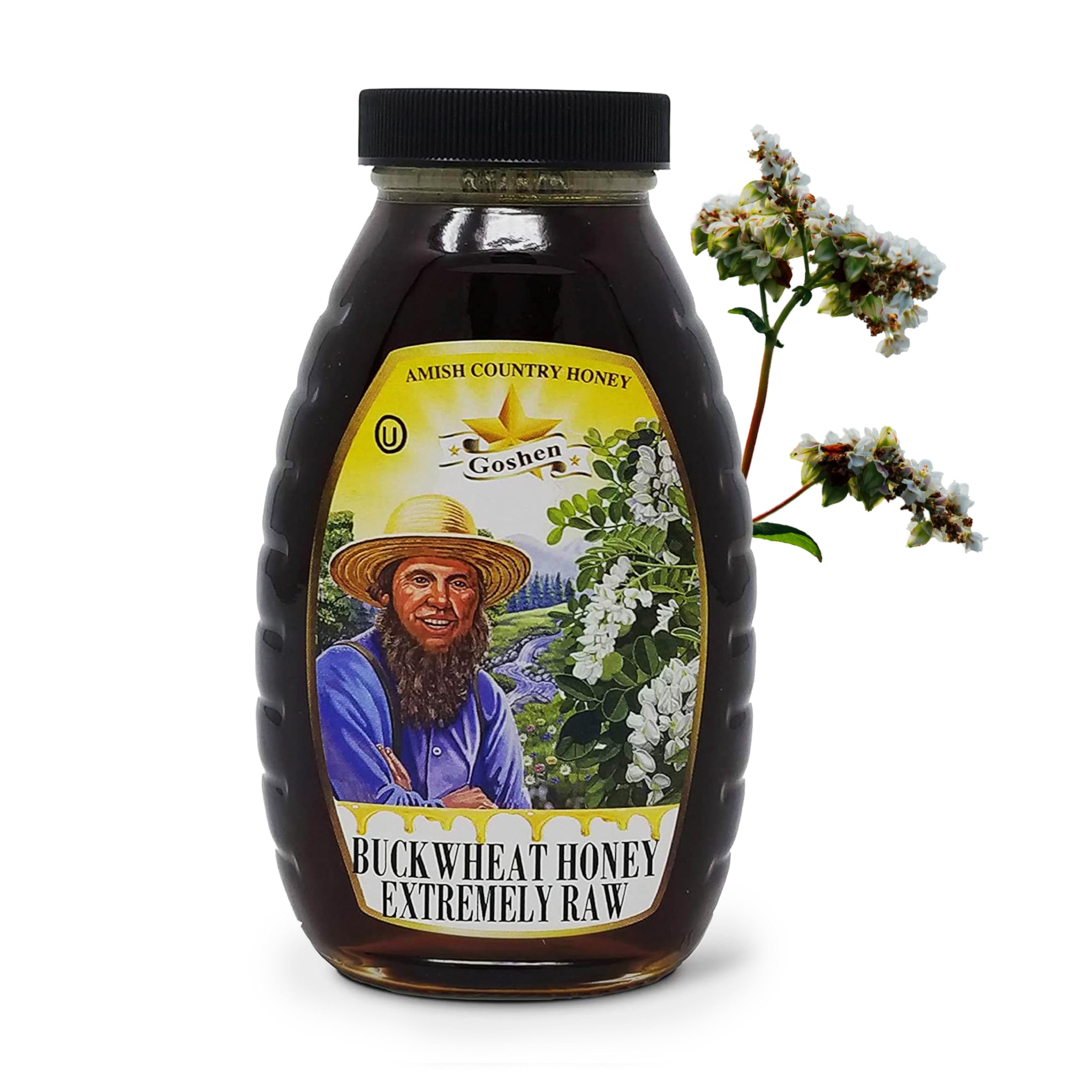 Goshen Amish Country Extremely Raw Buckwheat Honey - Unfiltered, Unprocessed, Pure & Natural - Harvested in the USA - Rich Flavor for Tea, Cooking, Wellbeing - Kosher Certified - 16oz Glass Jar