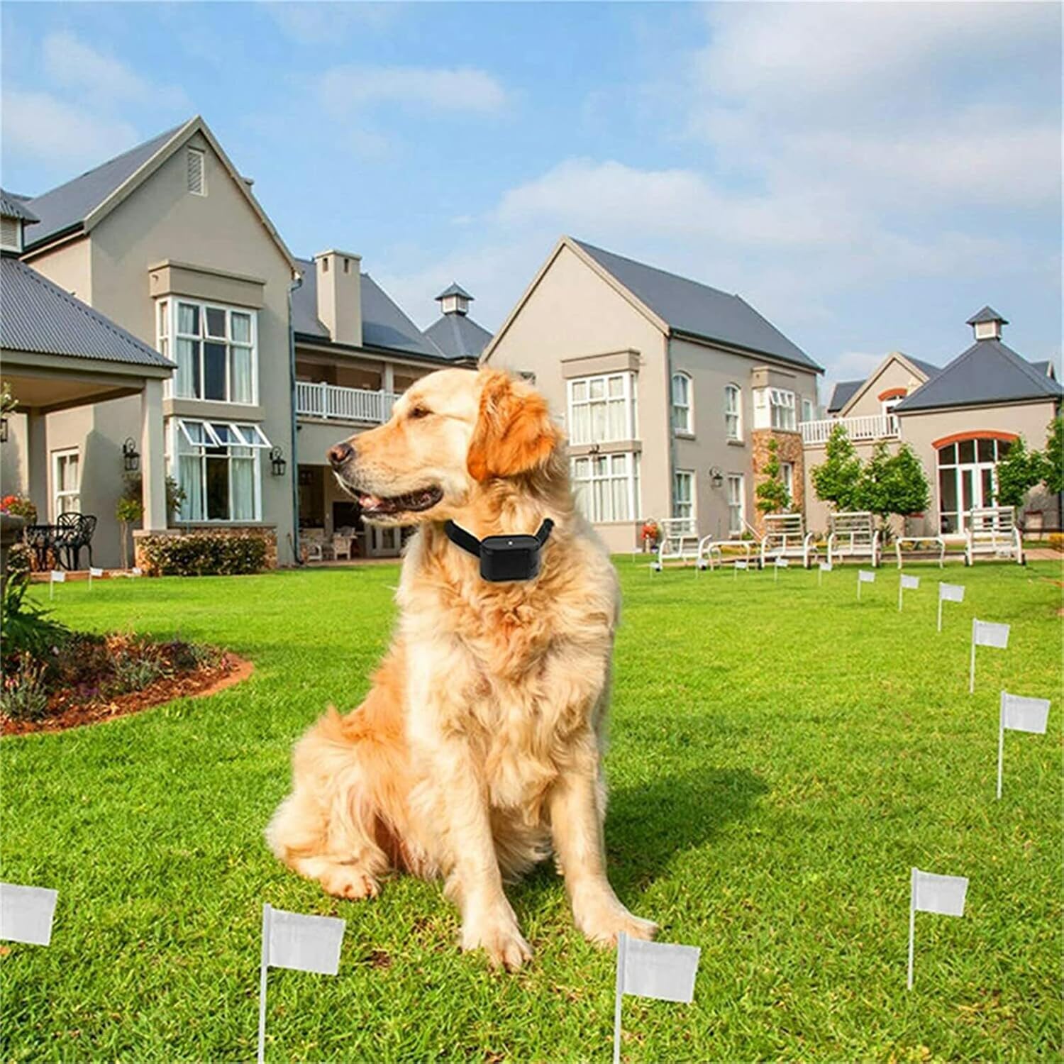 Electronic Dog Fence, Remote Dog Training Shock Collar, In-ground Electric Dog Boundary Containment System, 300m Wire, Tone/Shock Correction, Covers up to 1.2 Acre, Harmless for All Dogs,for1d