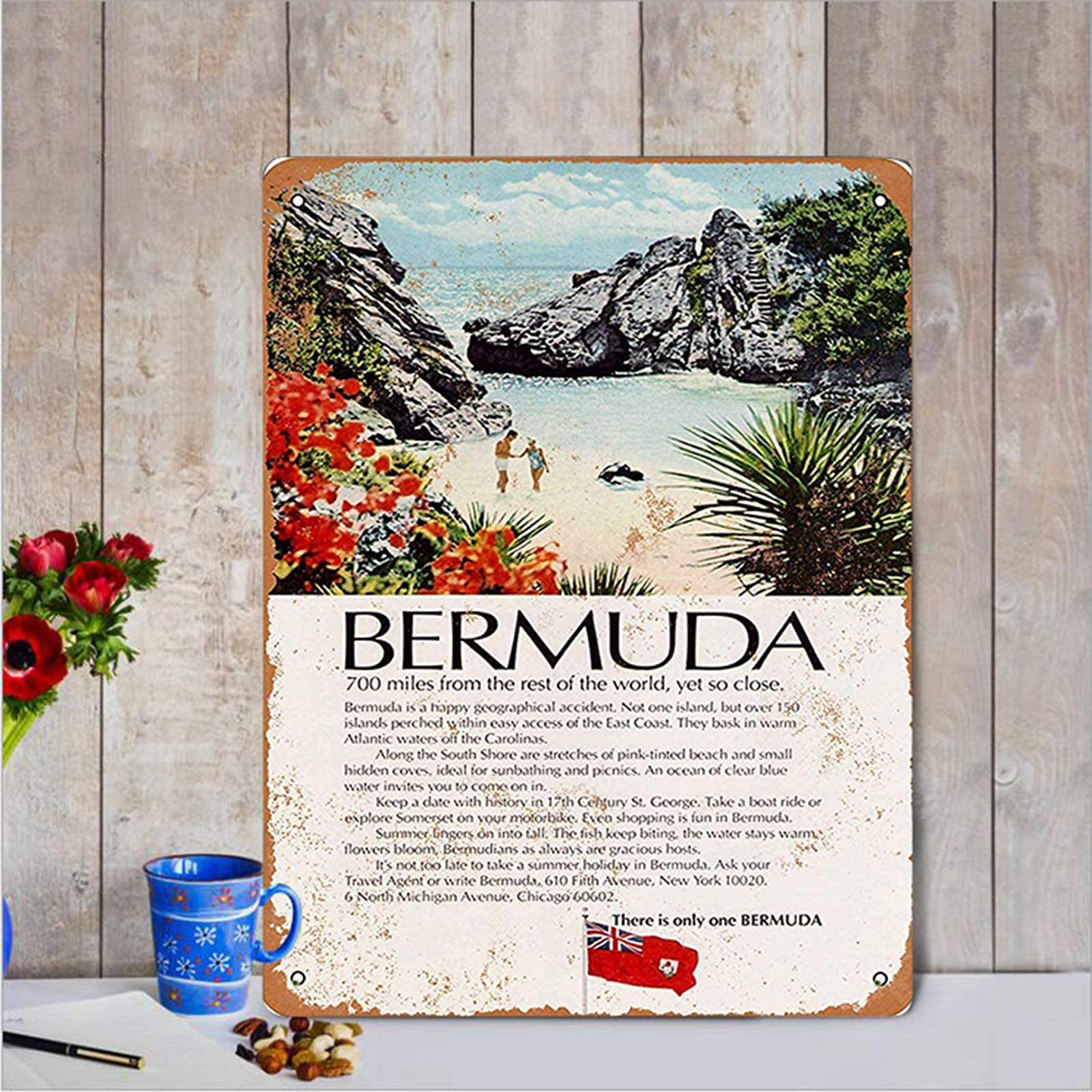 Tomlinsony Metal Tin Sign Bermuda Tourism 8''X12'' Decor Aluminum Sign Wall Sign