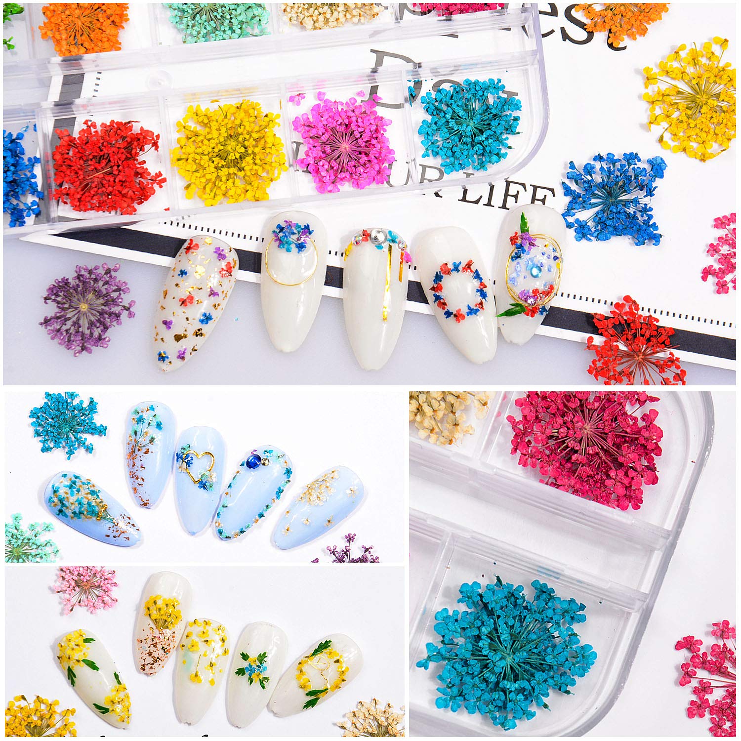 Warmfits Dried Flowers for Nails 120pcs/set 3D Real Encapsulated Nail Pressed Flowers for Nail Art & Resin Craft DIY - Gypsophila, Five Petals Flowers, Leaves, Hydrangea Macrophylla (Pattern A)