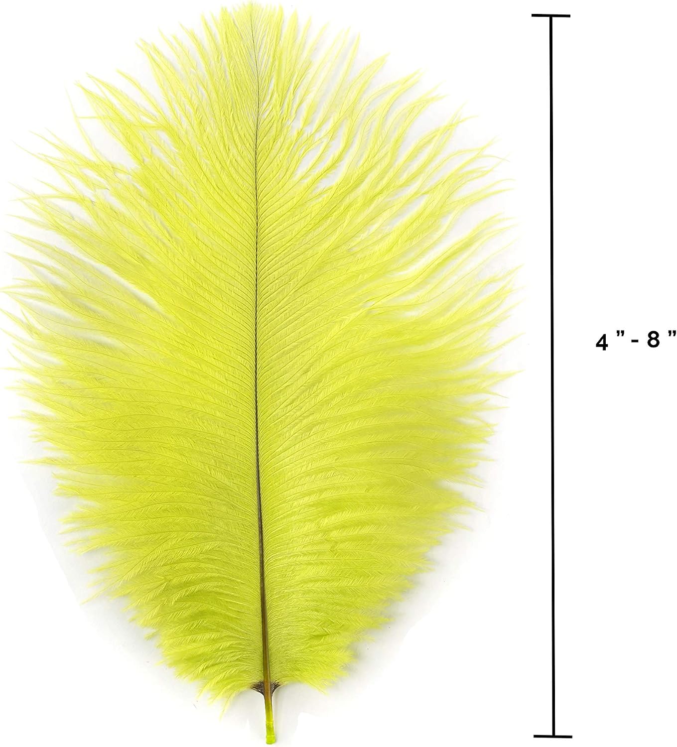 Zucker 12pc Ostrich Feather Craft Supplies - 4-8 inch (10-20 cm) Natural Colorful DIY Wedding Home Decor - Lime Green