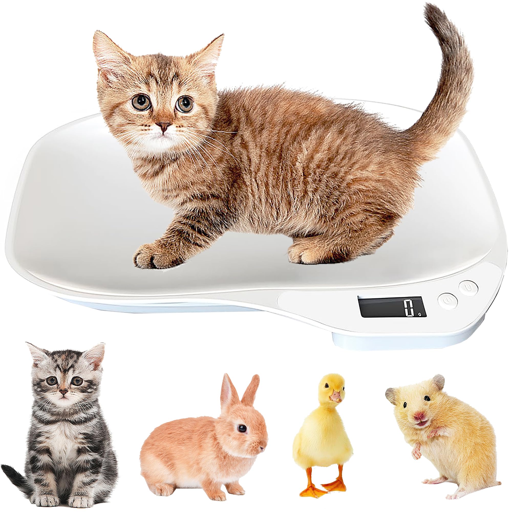 Báscula para animales pequeños, Básculas de 15 kg, balanza digital para mascotas, Mini peso para perros con 4 modos de pesaje (kg/oz/lb/ml) para gatos pequeños, perros, hámster, alimentos, cocina