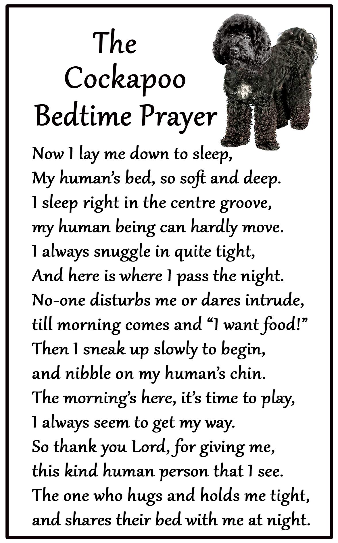 Fridge Magnets Multicolor Cockapoo Black, Bedtime Prayer For Dog Lovers - Large Fun Flexible Size 16Cms X 10 Cms (Approx. 6" X4")