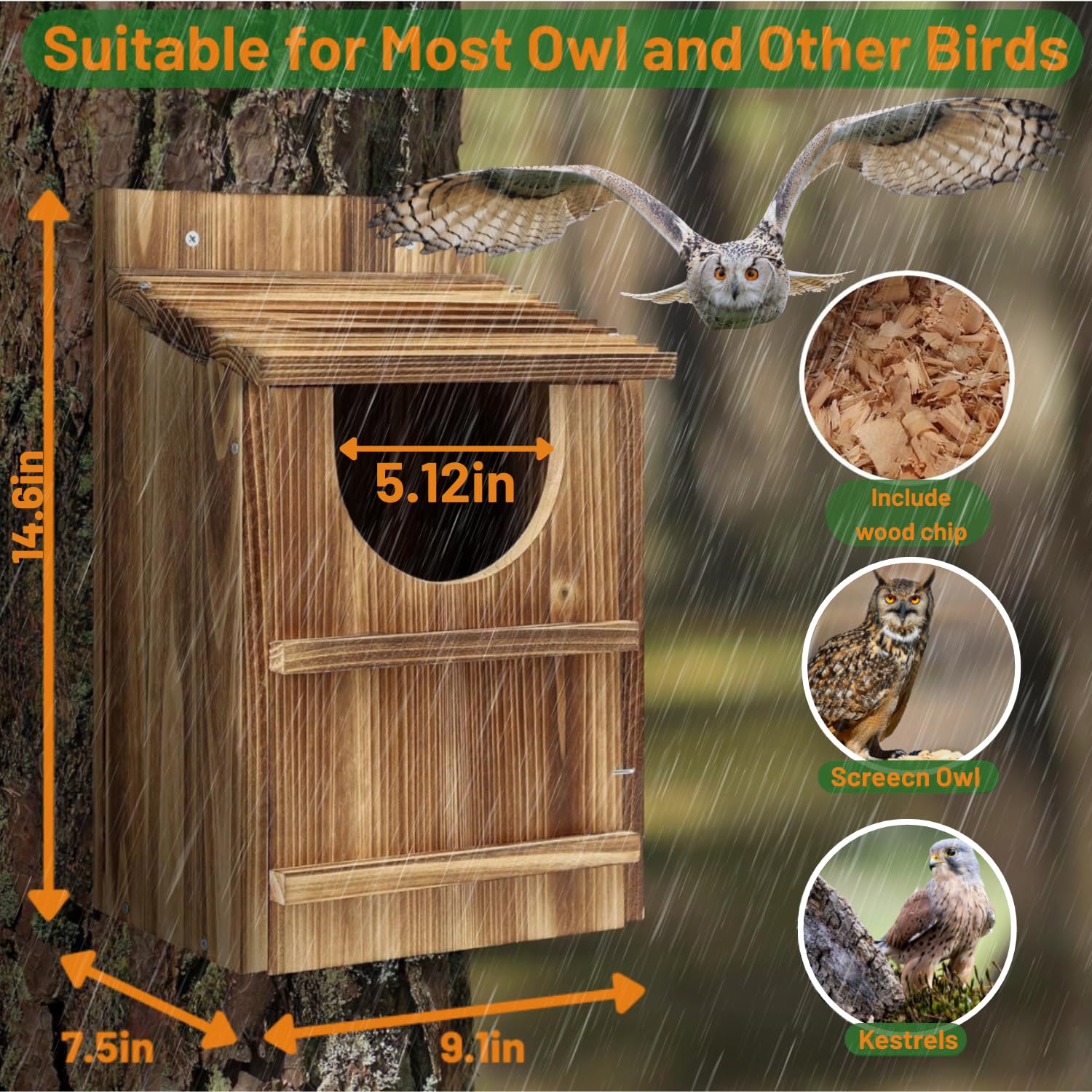 Screech - Caja nido de búho, entrada circular de madera hecha a mano de primera calidad, accesorios de montaje y virutas incluidas, montaje rápido para hábitats al aire libre (marrón, 9 x 14.5