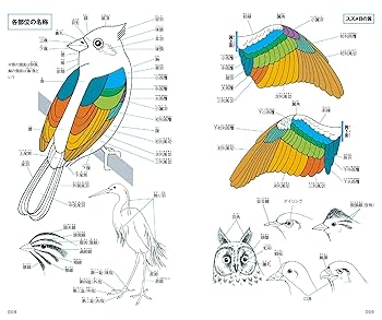 写真記録　日本鳥類狩猟法　堀内讃位　野鳥　限定版 写真記録 日本鳥類狩猟法 堀内讃位 野鳥 限定版 写真記録 日本伝統