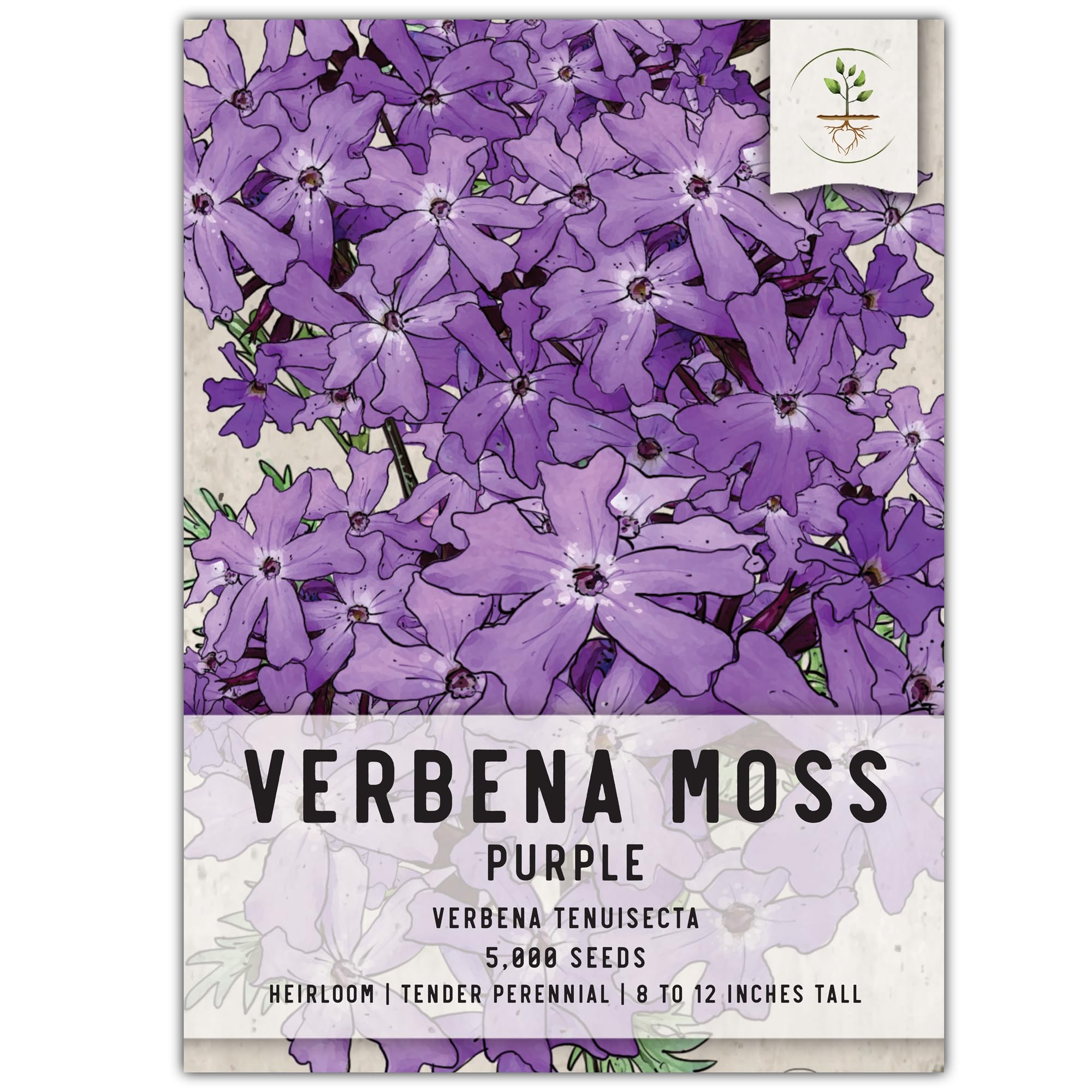 Amazon.com : Seed Needs, Purple Verbena Moss Seeds - 5,000