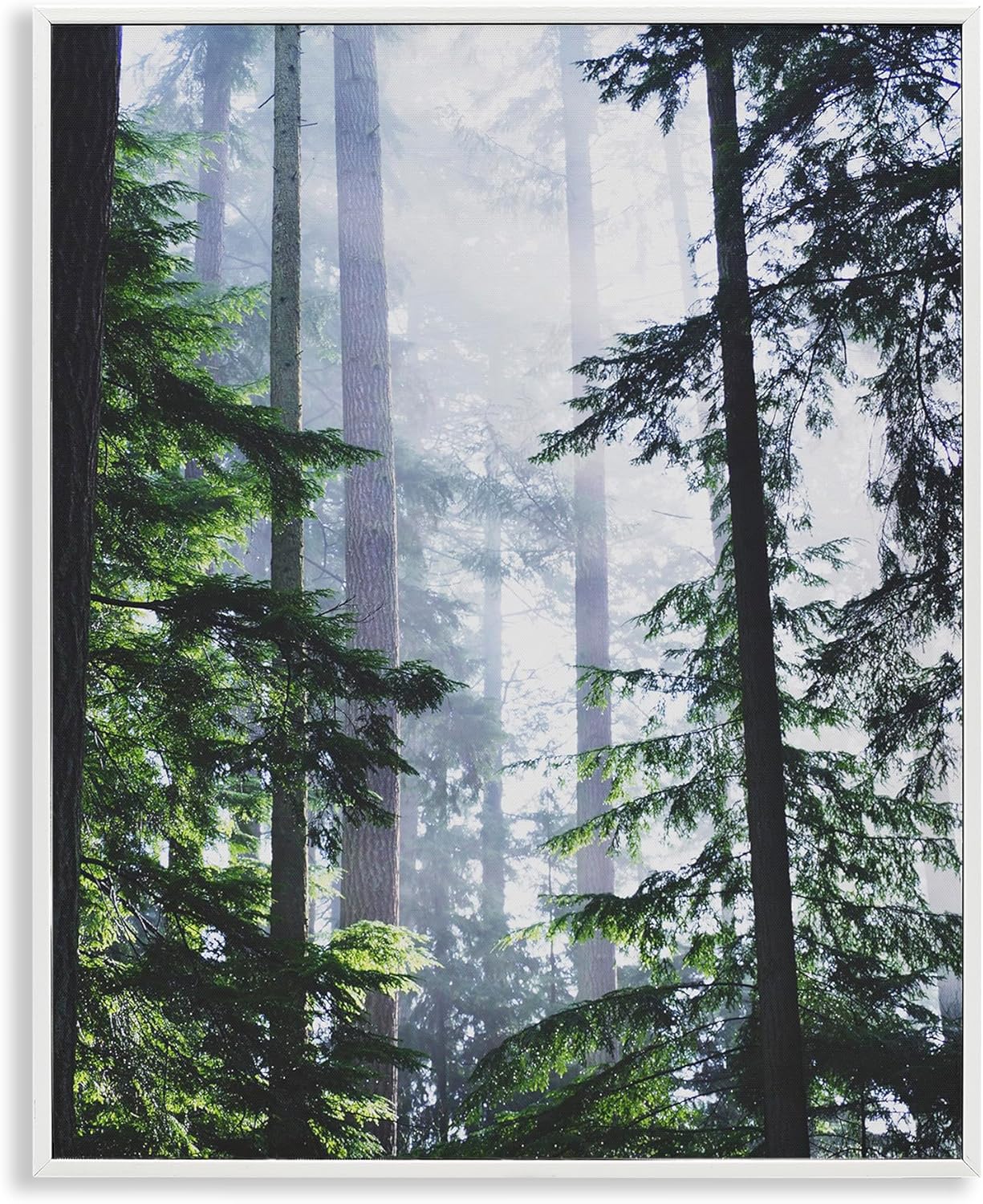 Stupell Industries Foggy Forest View Framed Giclee Art Design by Gail Peck
