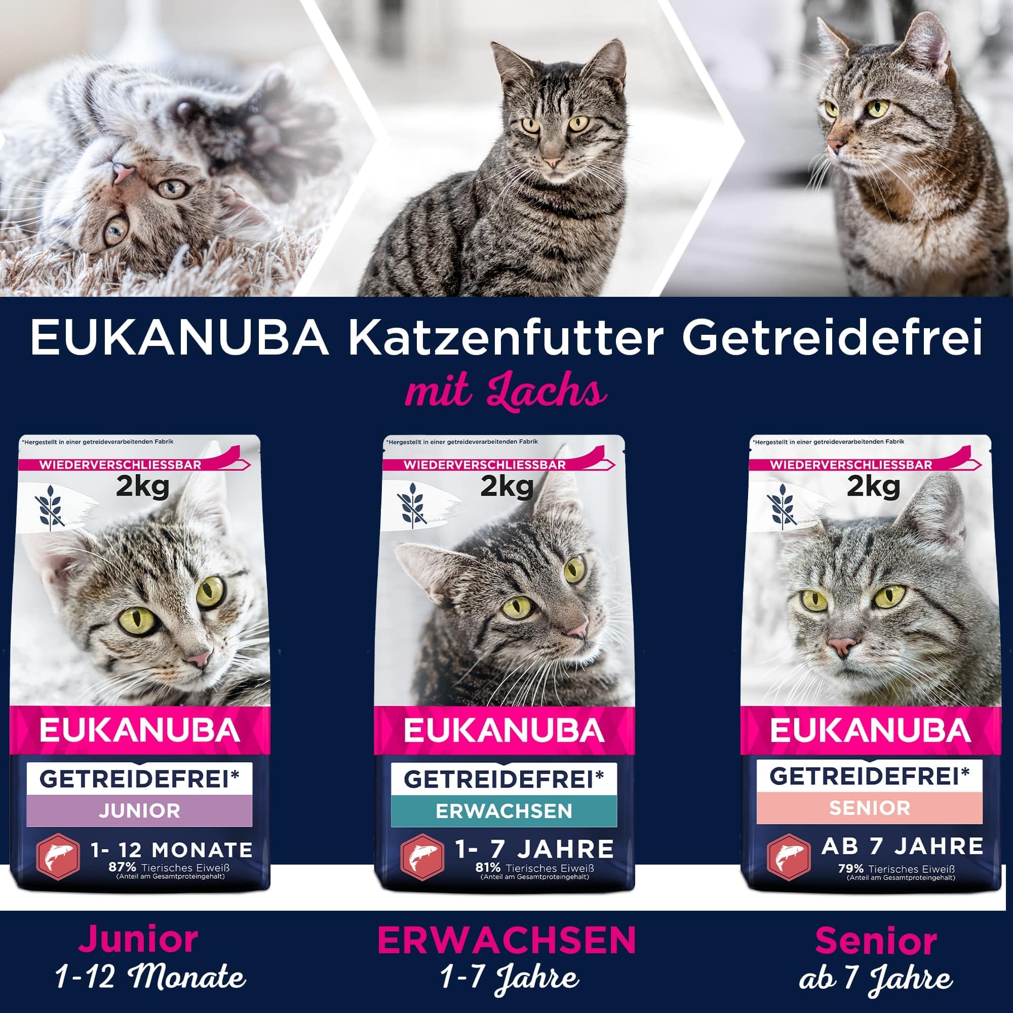 Eukanuba Katzenfutter trocken getreidefrei - Premium Trockenfutter mit viel Lachs für ausgewachsene Katzen, 10kg
