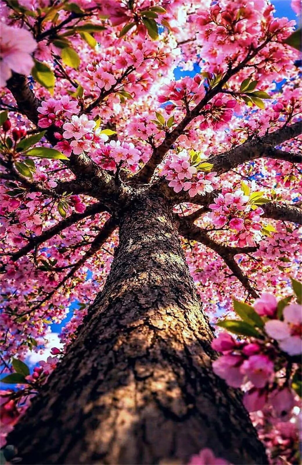 Rompecabezas para Adultos de 3000 Piezas | Árbol Cerezo Flor | Puzzle Terapéutico de Estimulación Mental y Desconexión Digital, Encaje, Idea de Regalo, 122x81 cm