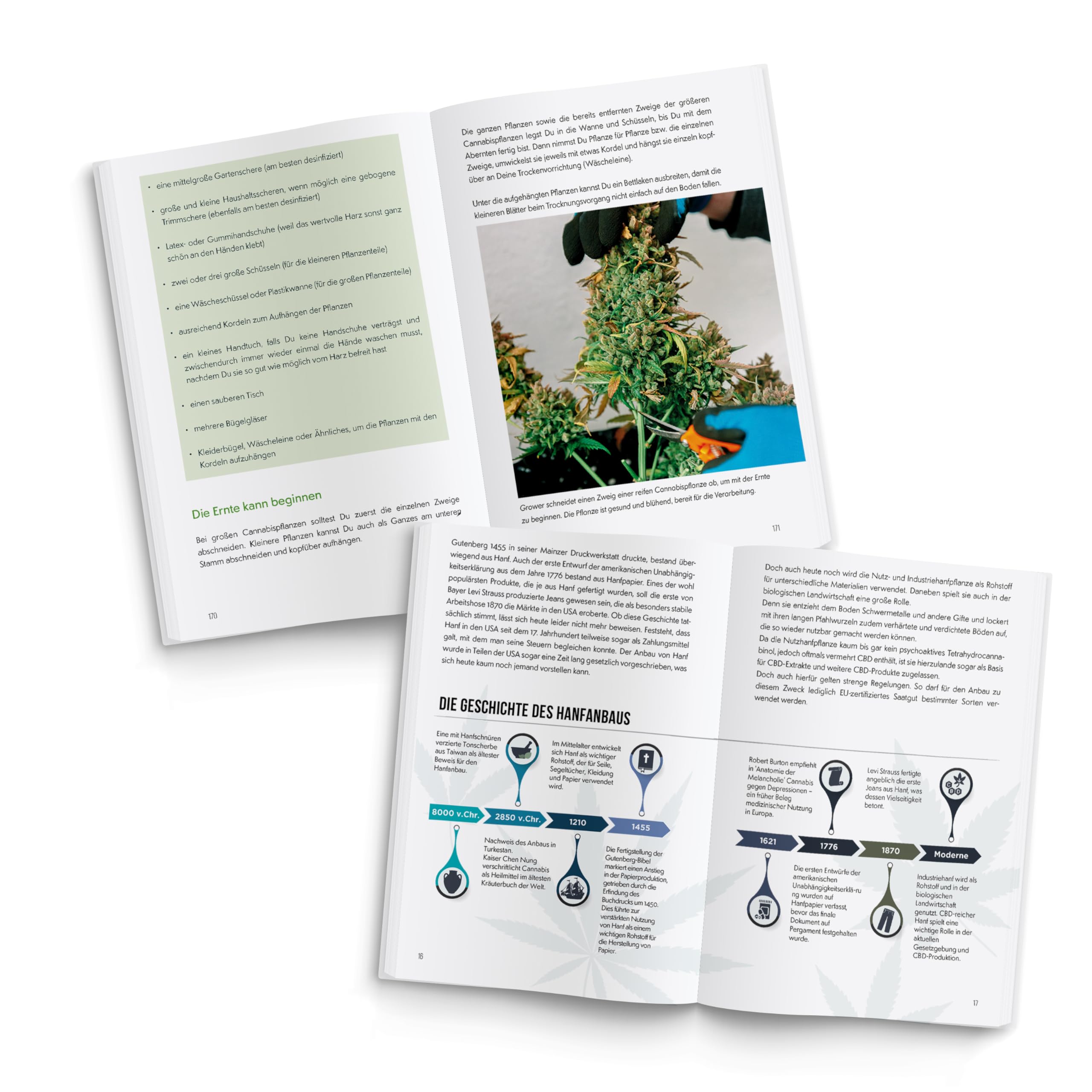 Hanfanbau leicht gemacht - Vom Samen bis zur Blüte: Der komplette Guide für eine erfolgreiche Cannabisernte - Inkl. Strategien für Indoor, Outdoor, Schädlingsbekämpfung und Nährstoffmanagement