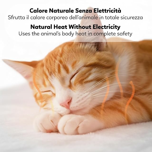 Foto 3 de 7 de Funhobby Italia Srl AQPET Billy - Manta de Coche calefactora para Perros y Gatos domésticos, Alfombra térmica…