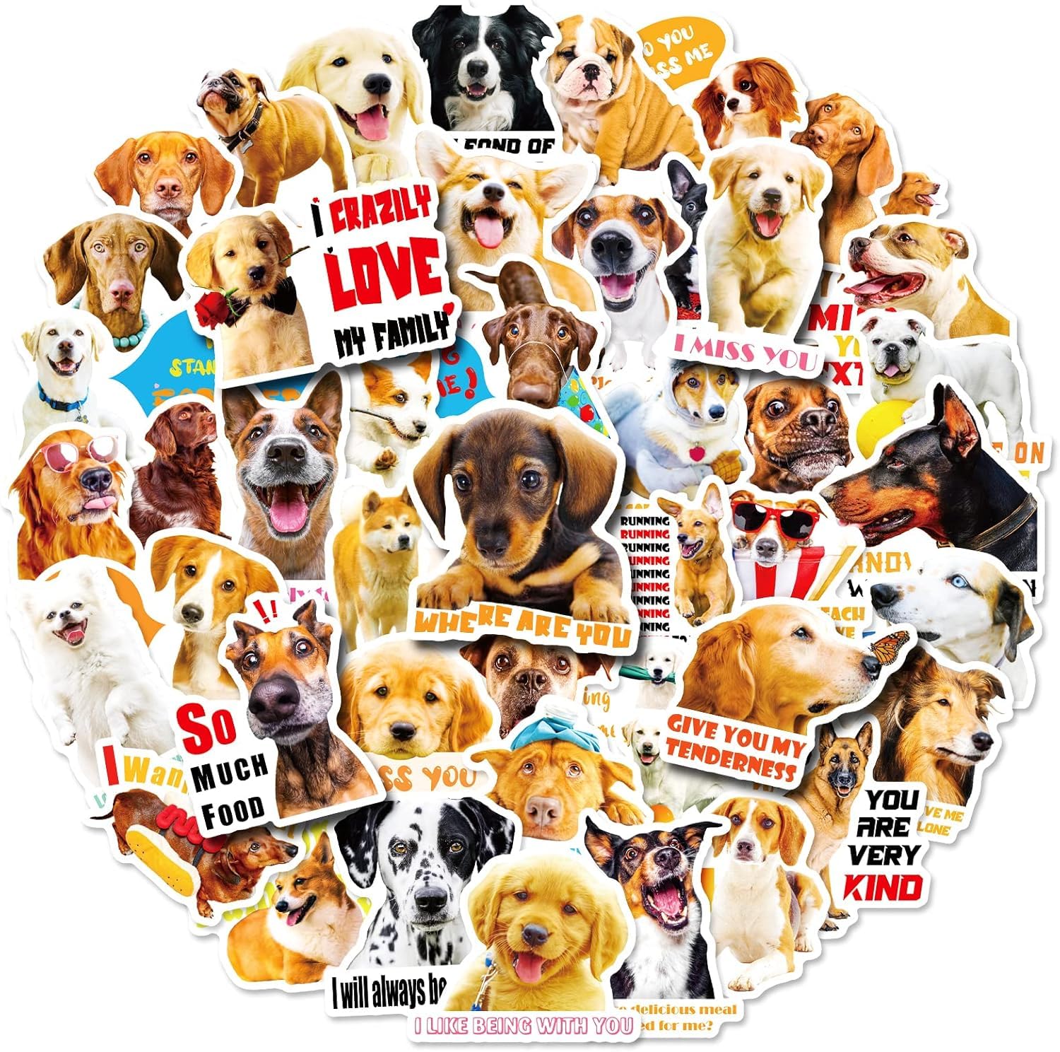 Hntr Dog Fun Stickers | 50 Cute Puppy Decals