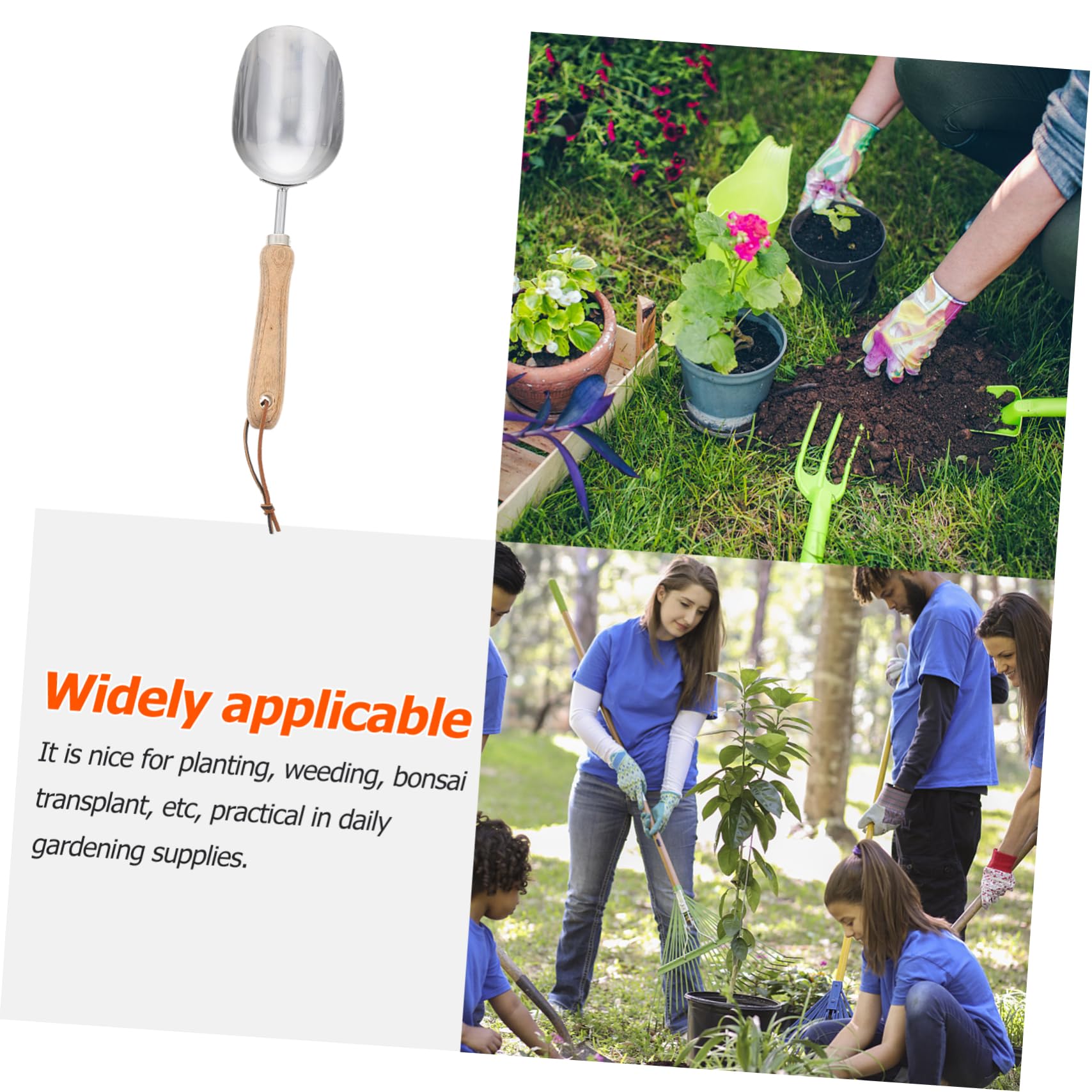 TOYANDONA 2 Piezas Pala para Tierra de jardineria Palas de jardín Maceta Mini Pala cucharón Planta Bonsai Hotel de Mano de jardinería Pesada Pala de jardinería Accesorios de jardín