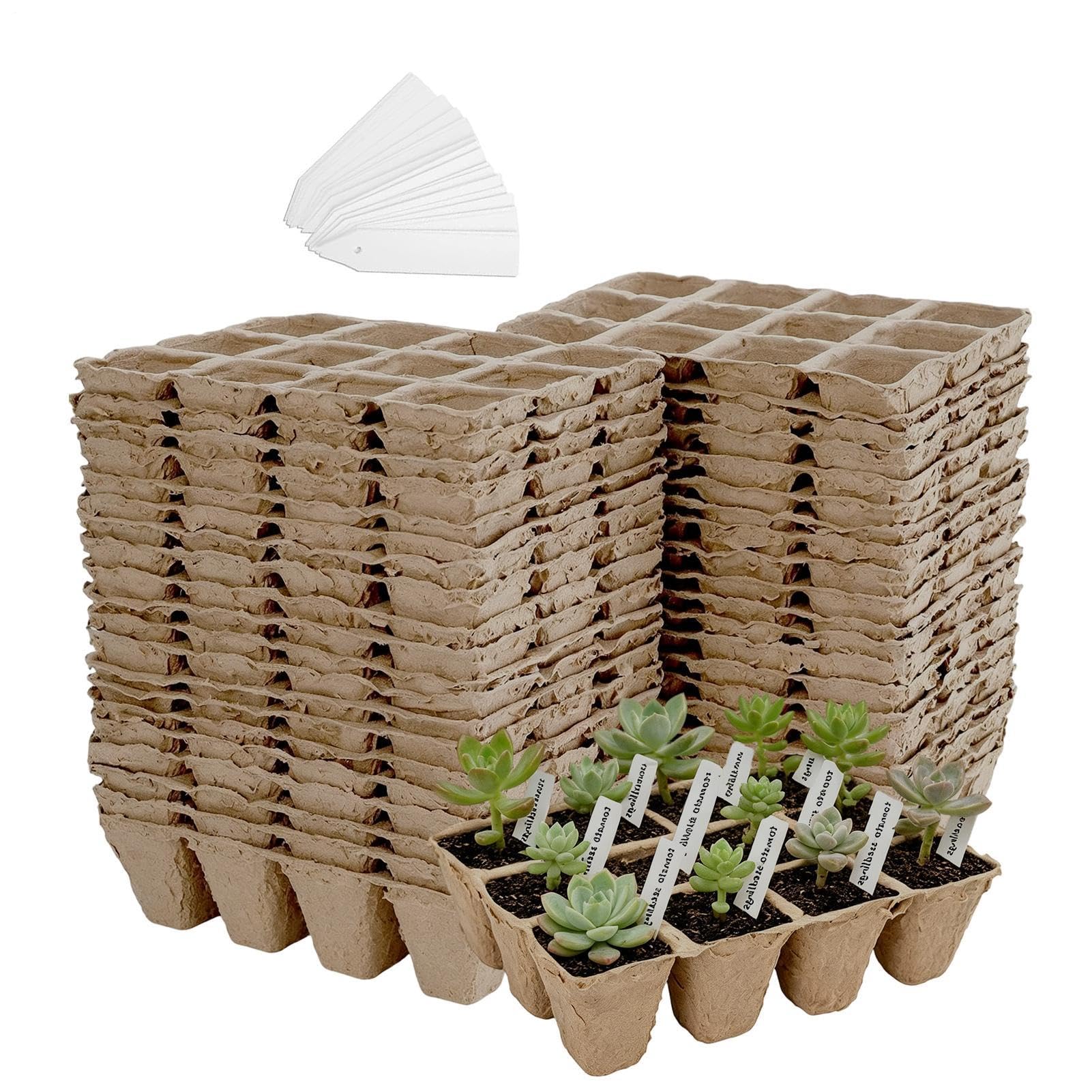 Macetas compostables que eliminan el plástico y residuos en tu jardín