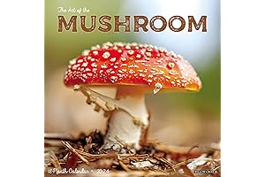 2024 Willow Creek Press Mushroom Wall Calendar (12" x 12")